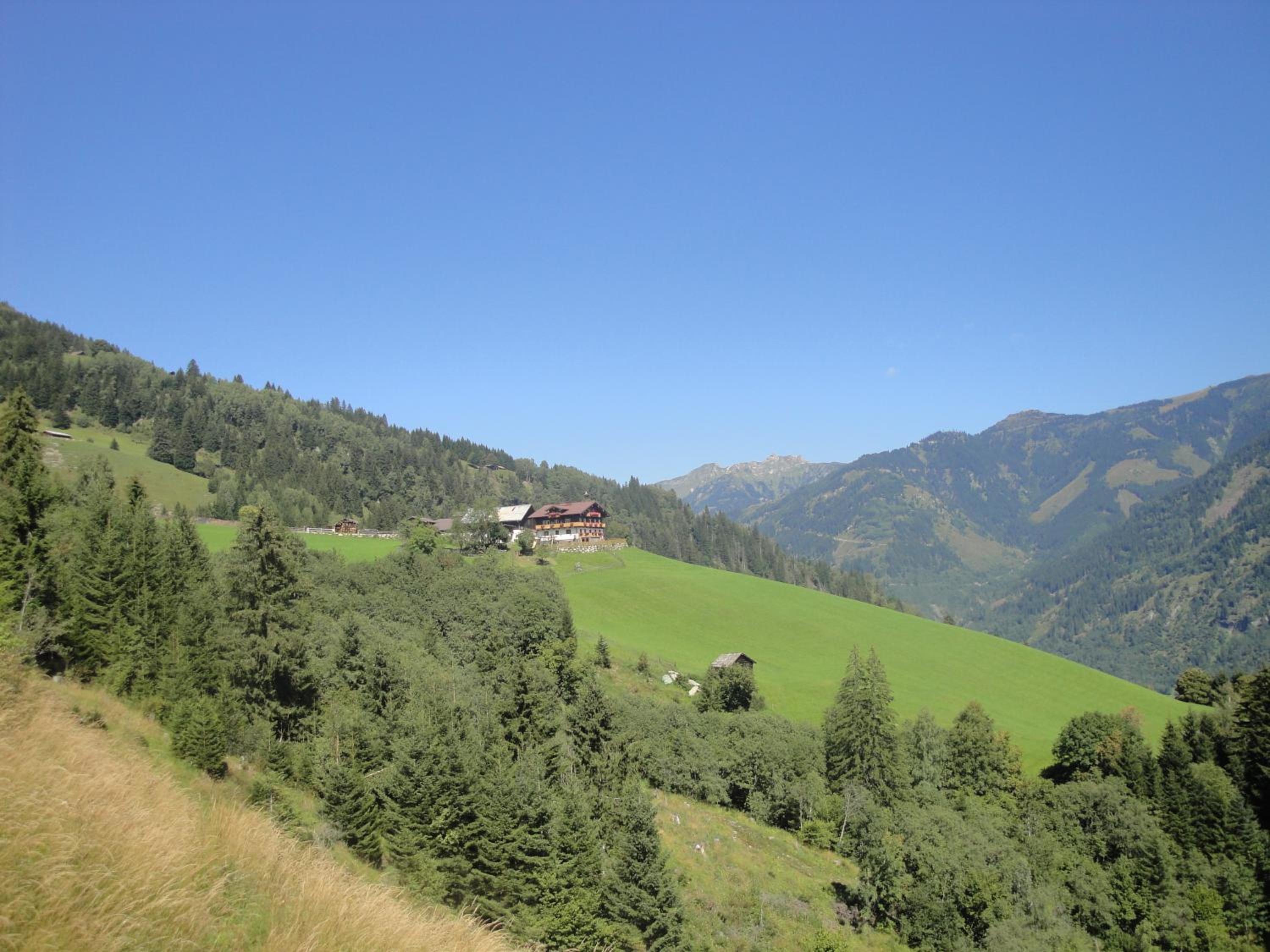 Brandebengut