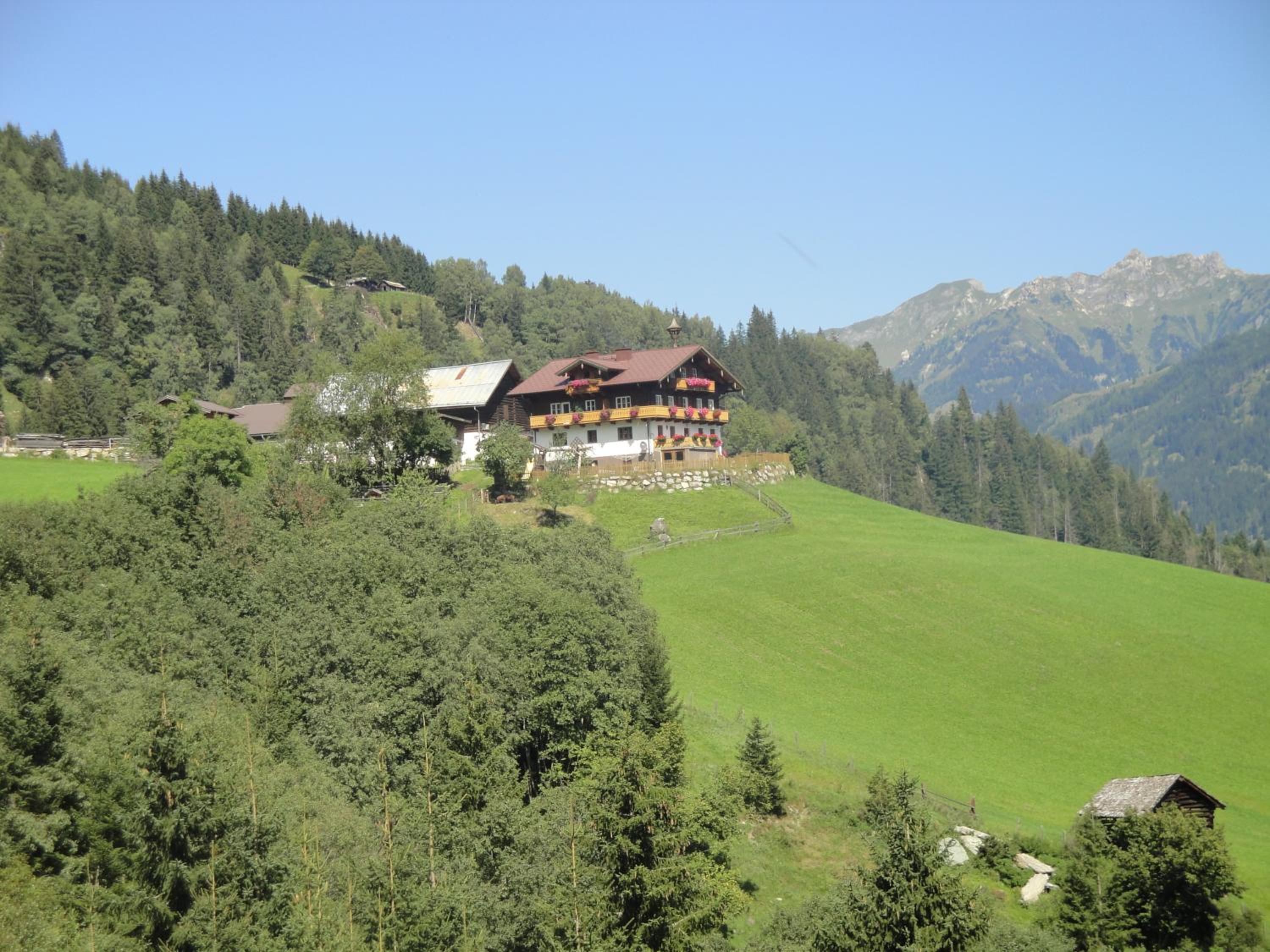 Brandebengut