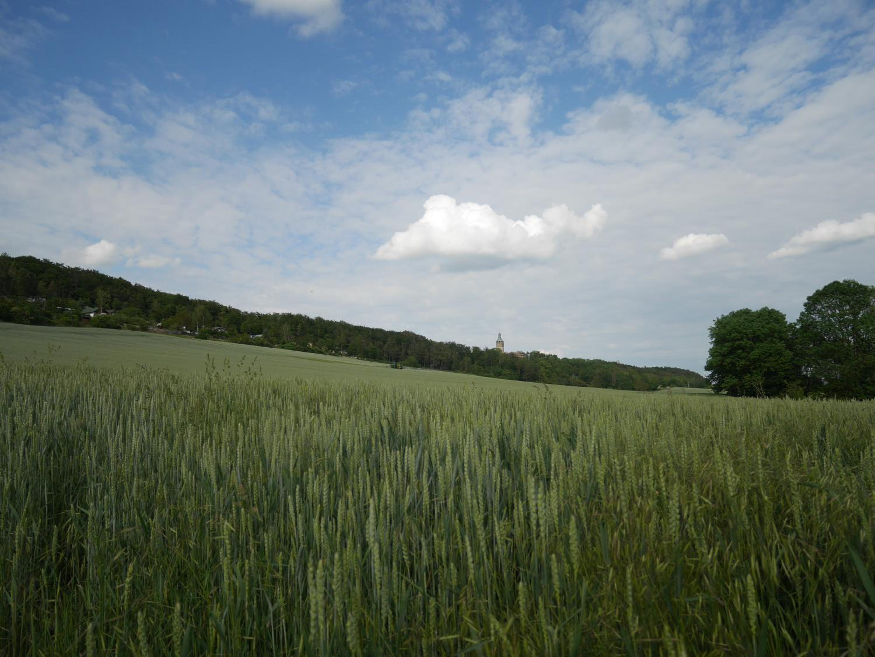 Photo 48