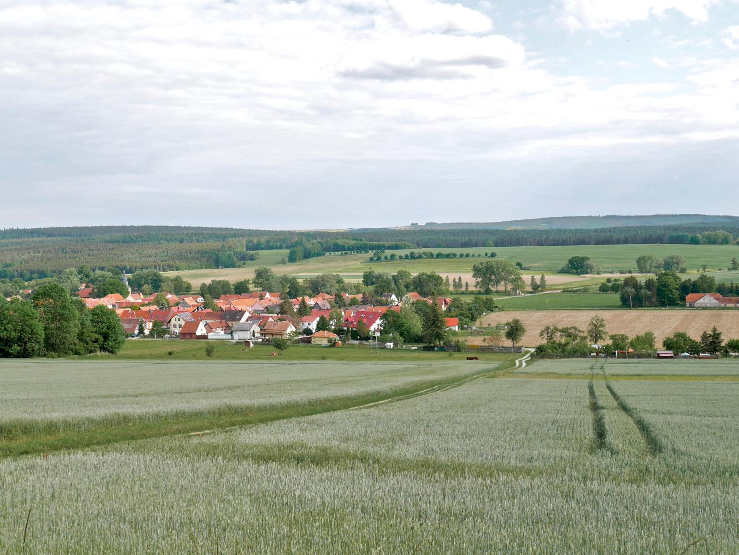 Pension Grünes Herz view 2