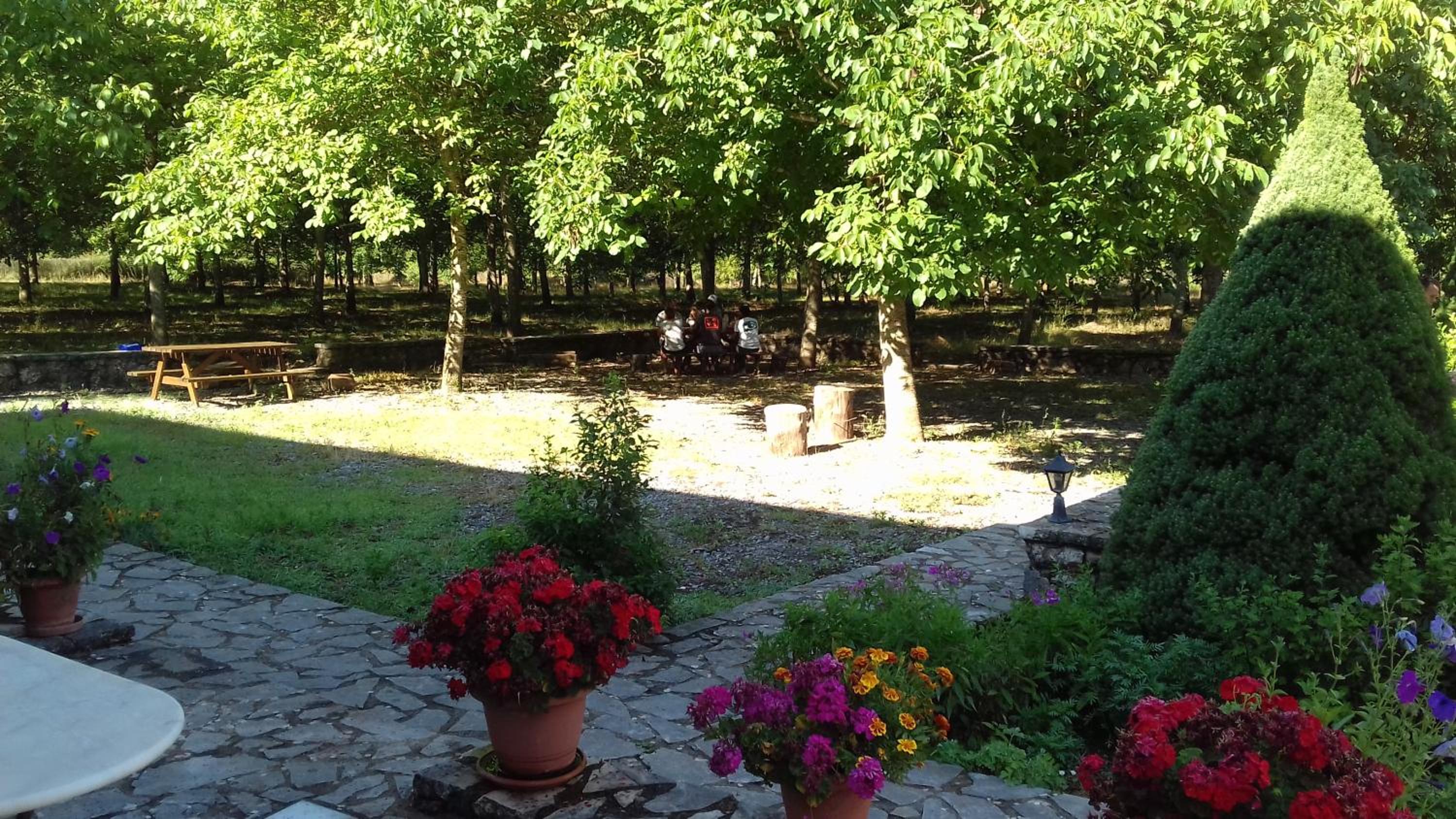 Andrea Sofi Guesthouse view 2