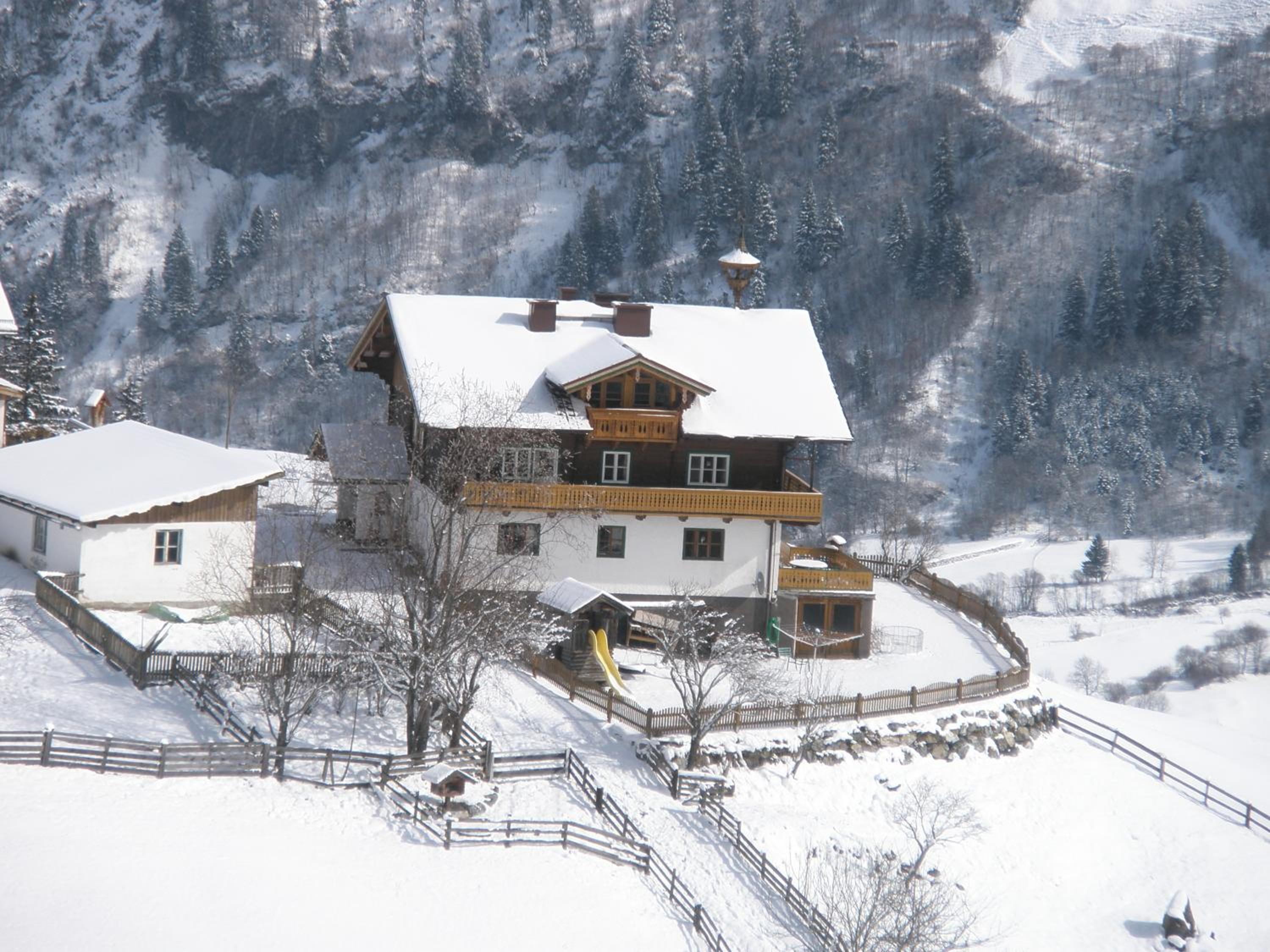 Brandebengut