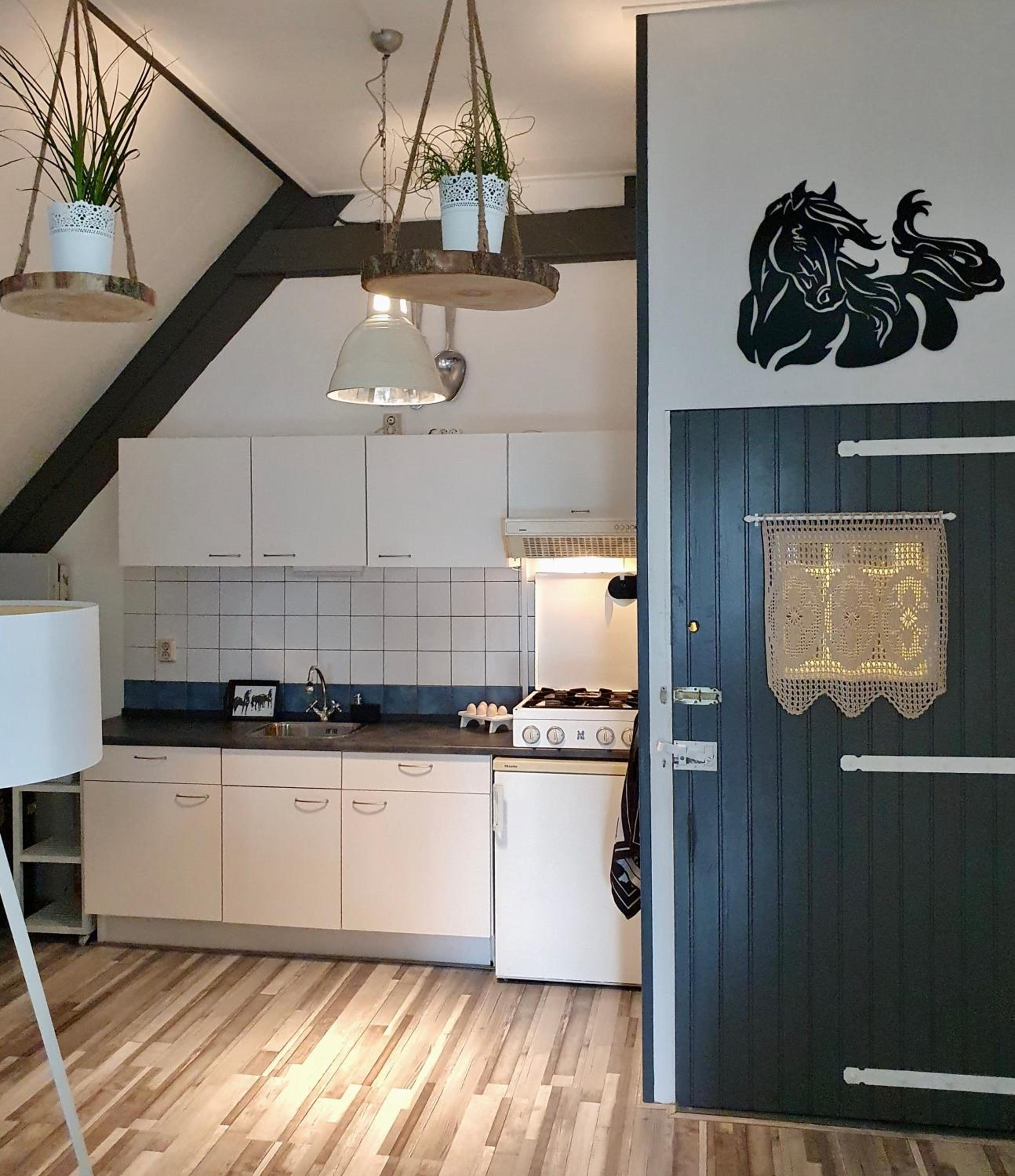 Apartment Het Friesche Paard view 4