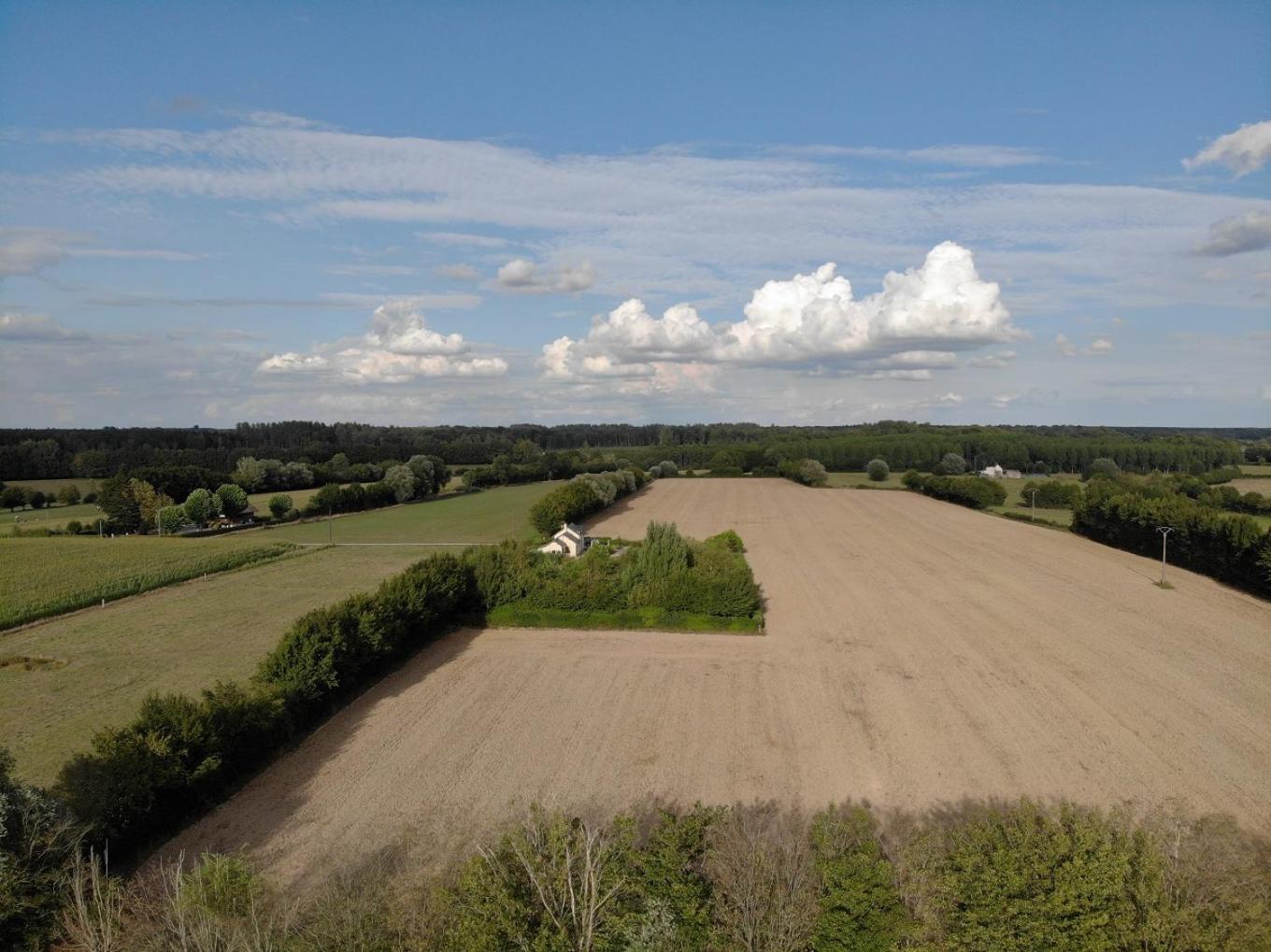Gîte La Grenouillère view 4