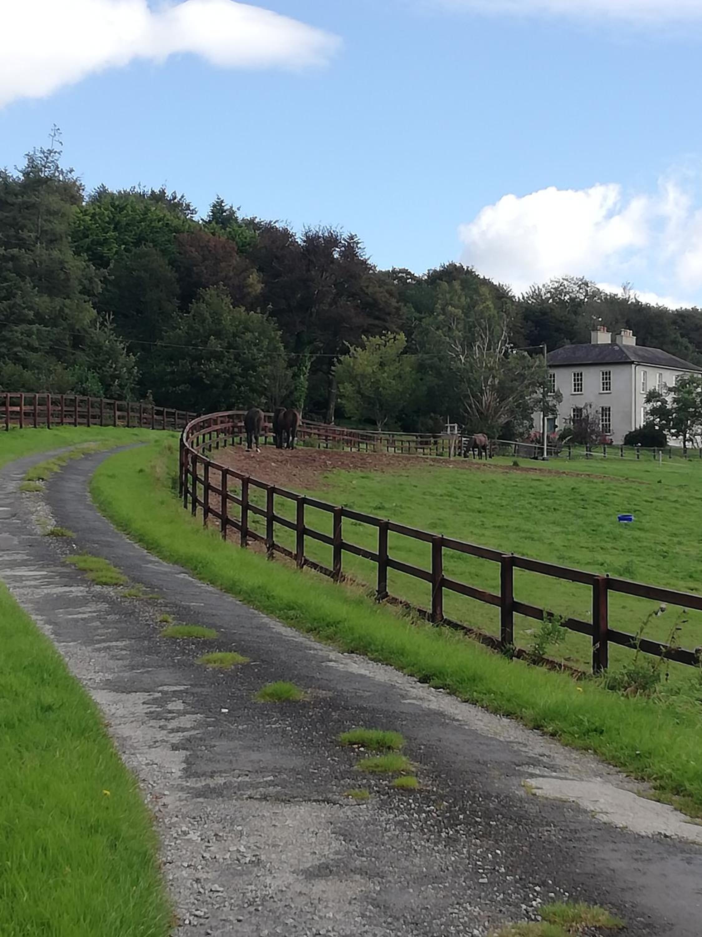 Next door at Broomfield House