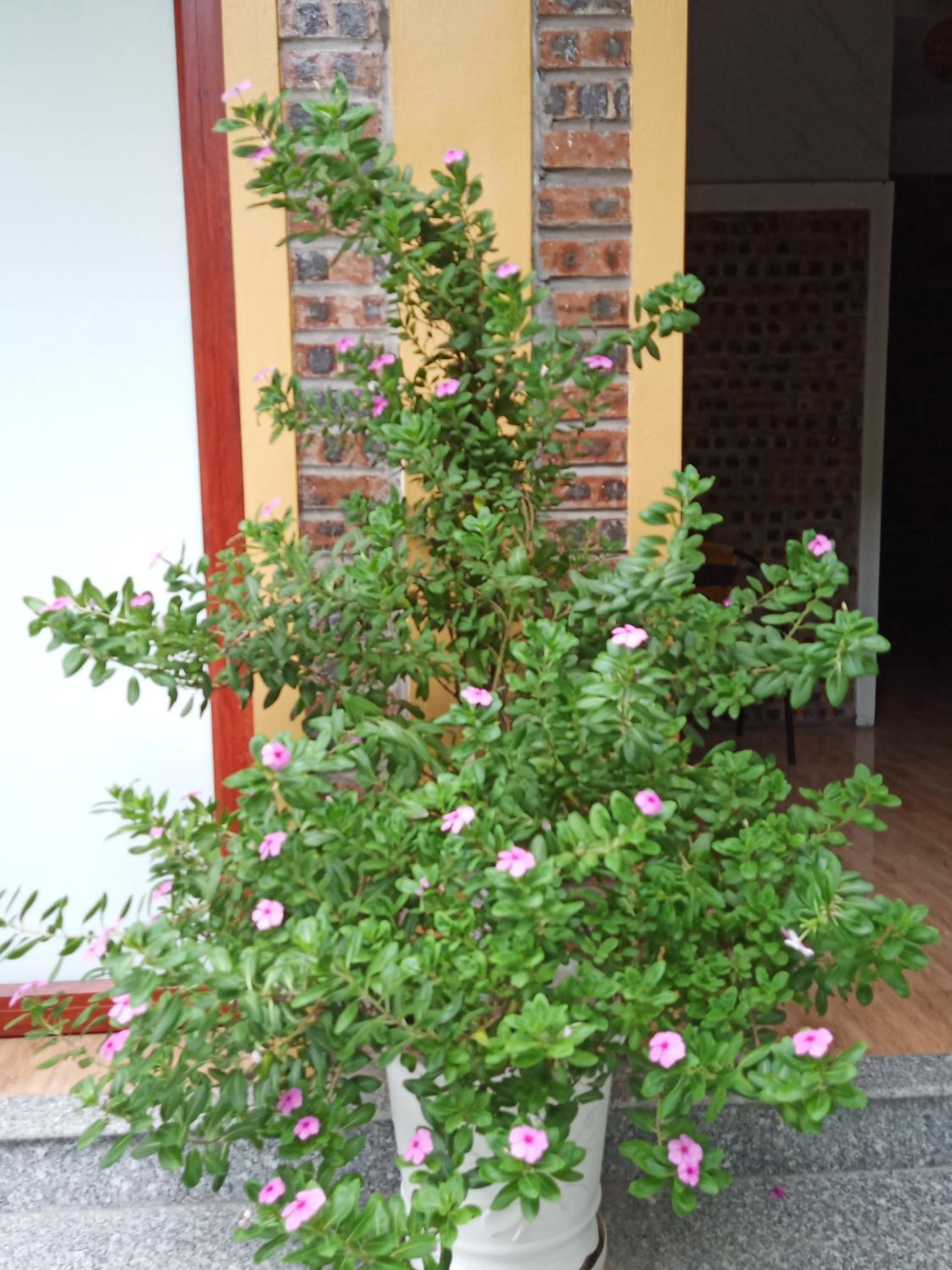 Photo 24