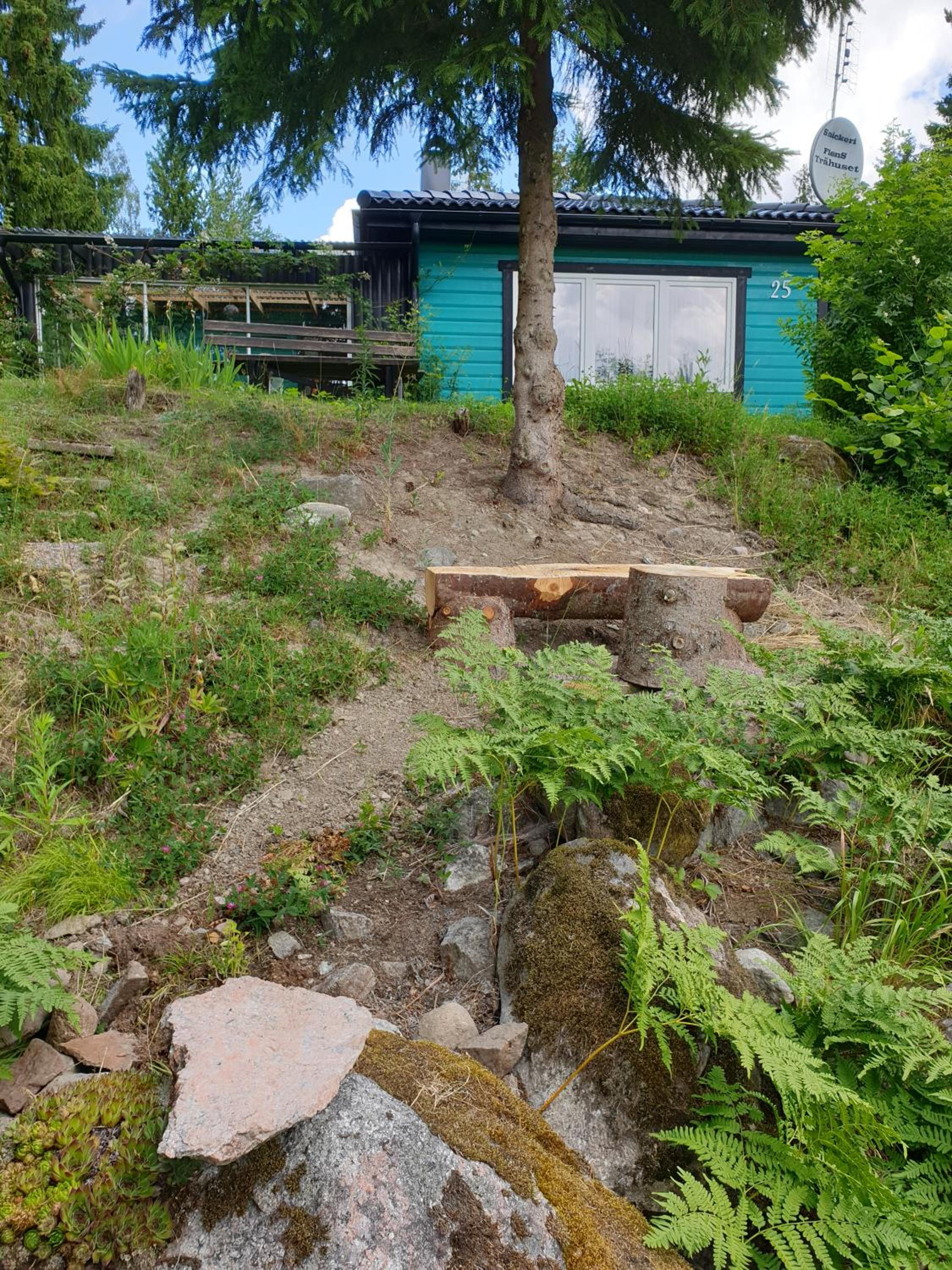 Photo 13