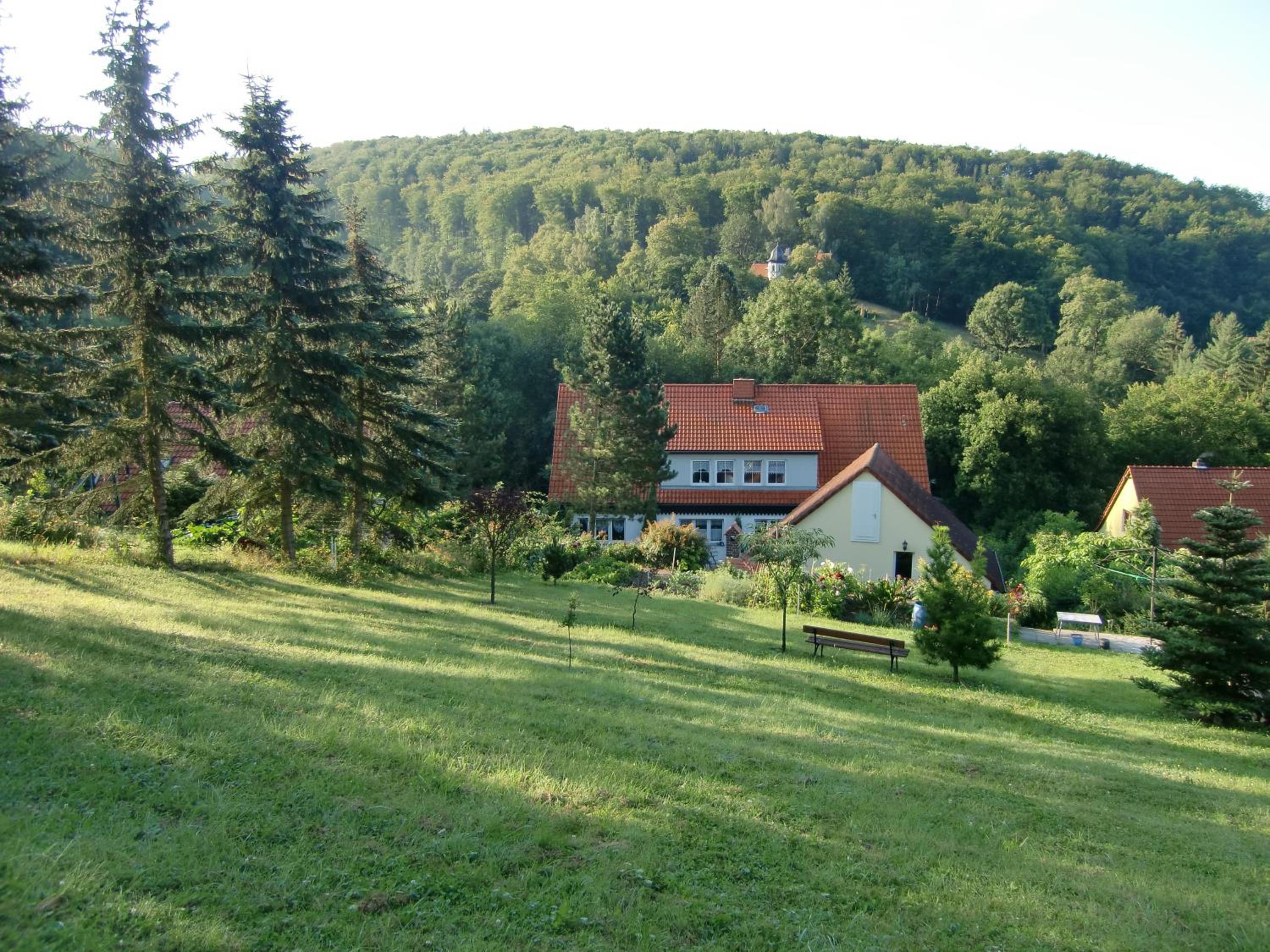 Photo 20