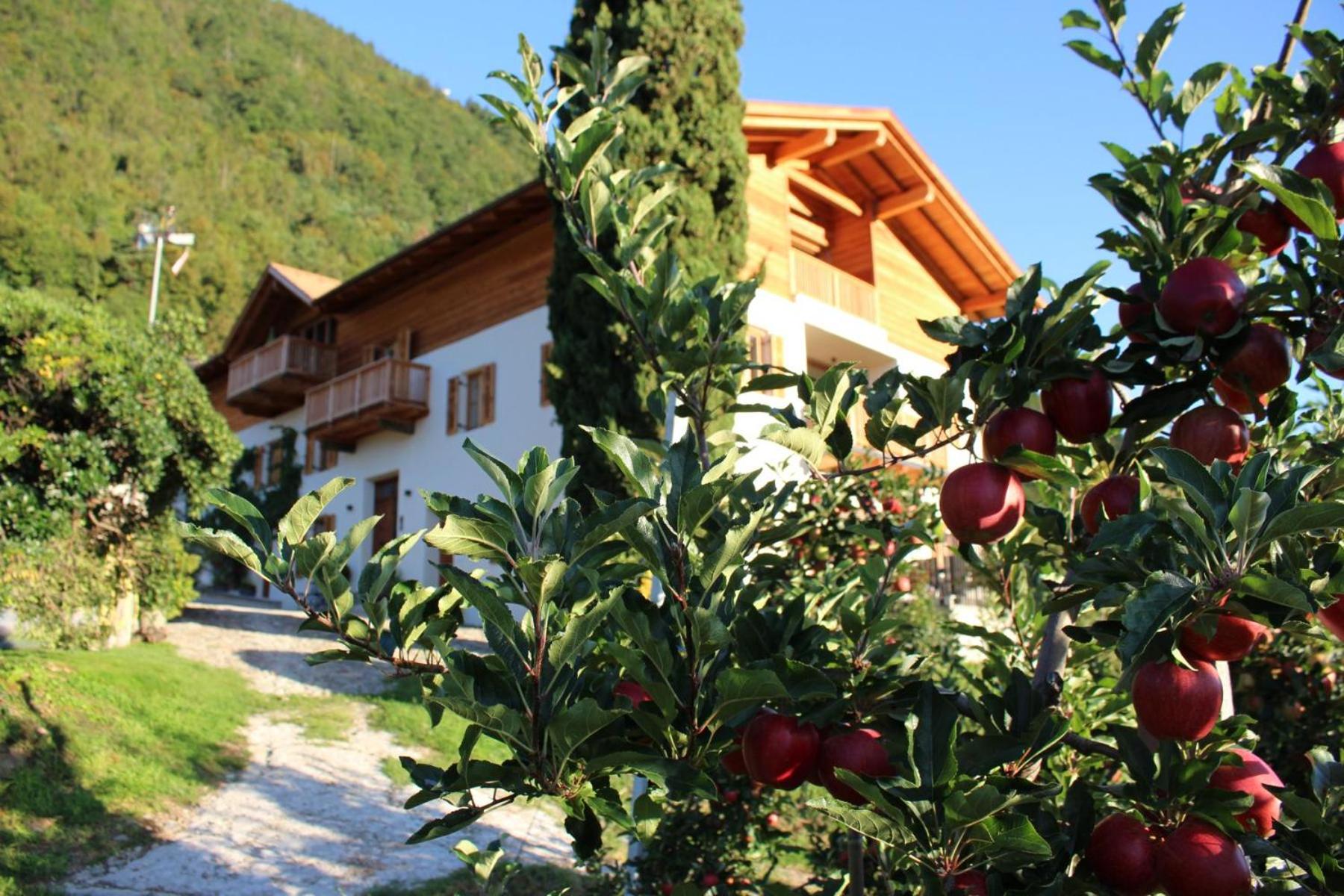 Greiterhof