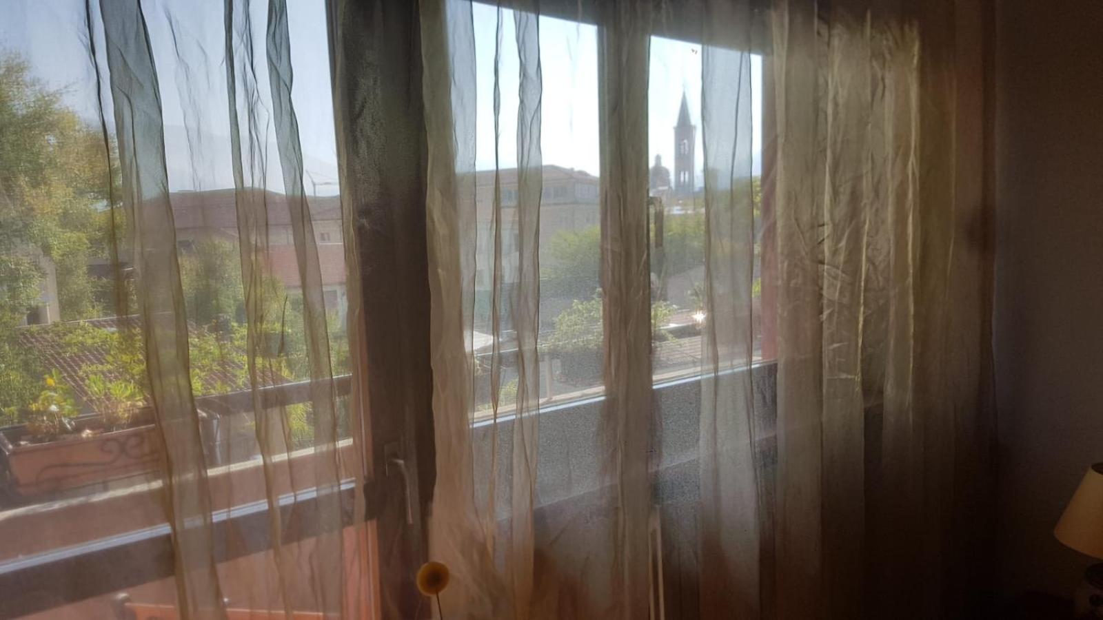 Gufo Azzurro photo 4