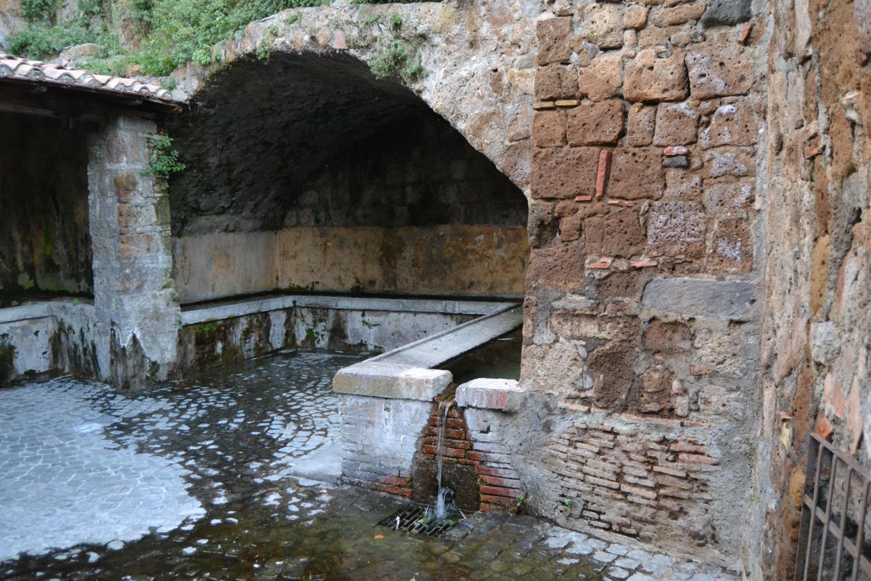 Photo 38