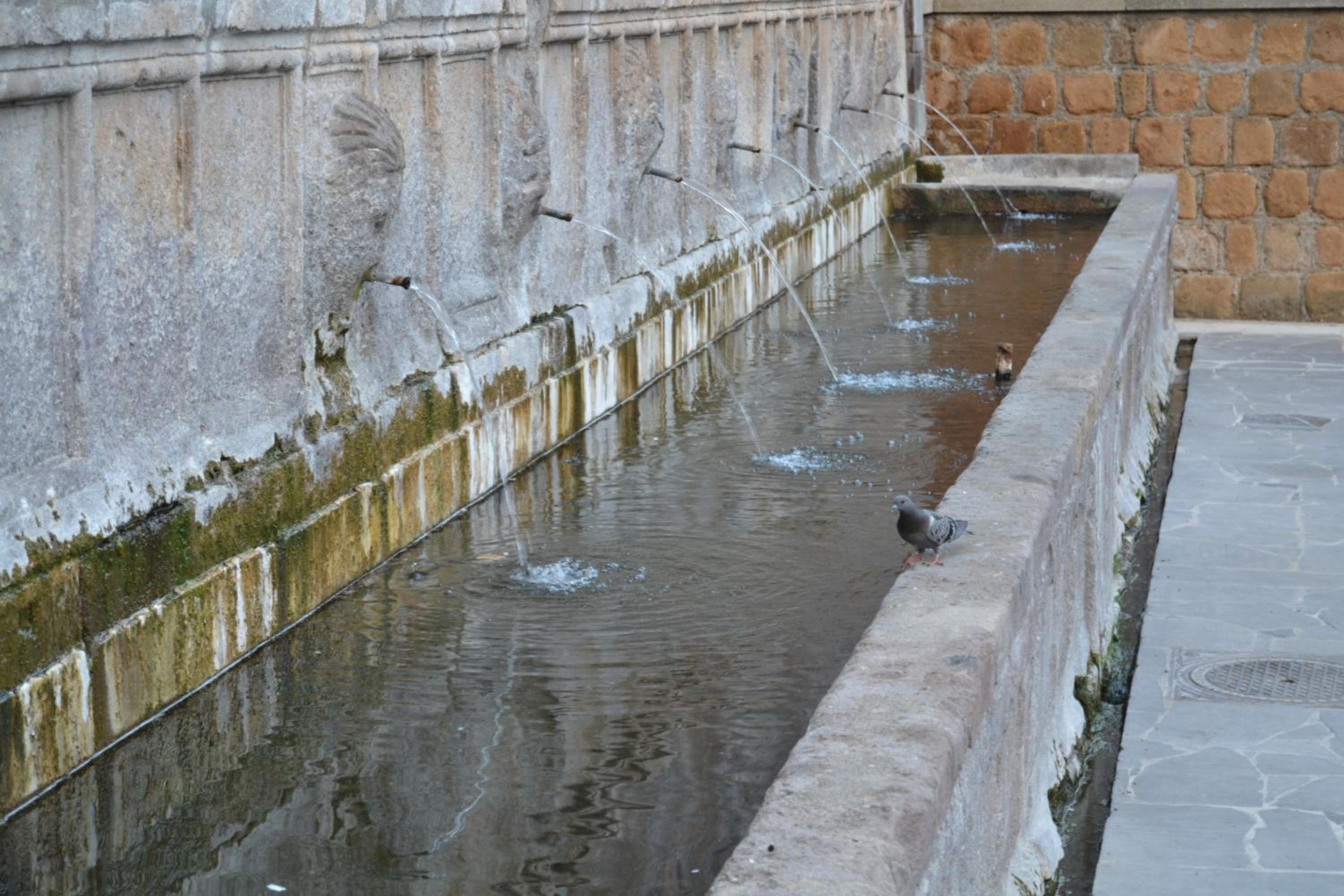 Il Riuscello photo 4