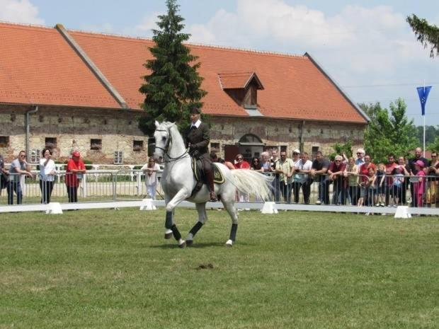 Photo 45