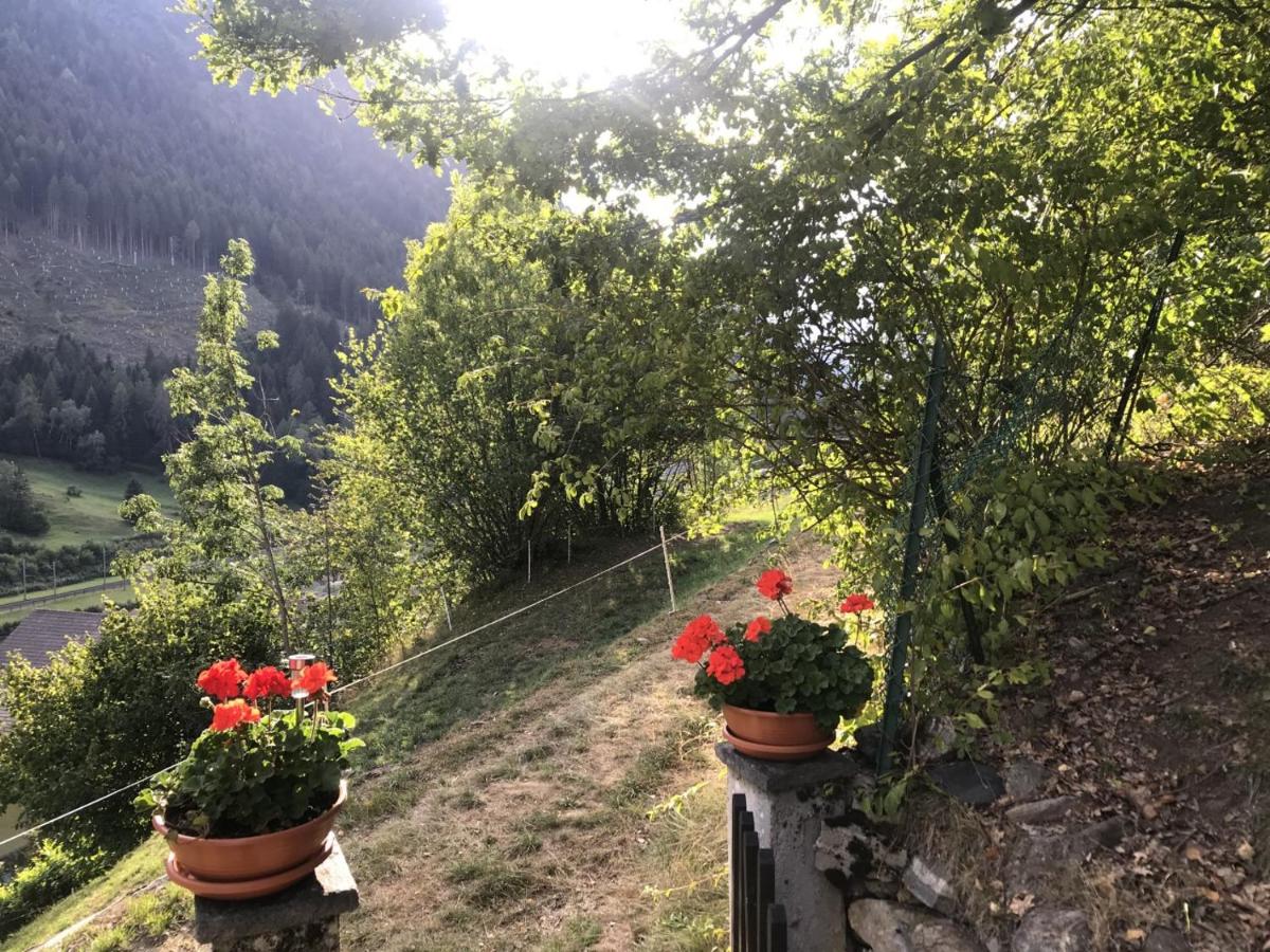 Genzianella view 4