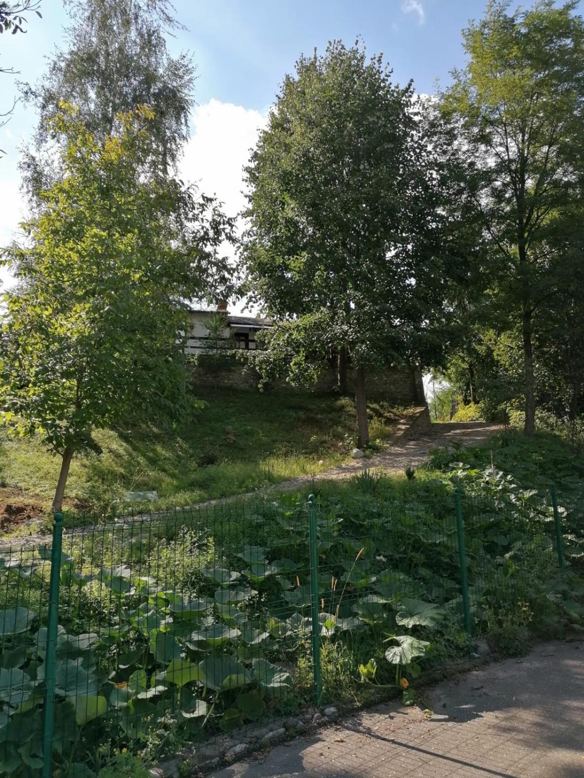 Photo 15