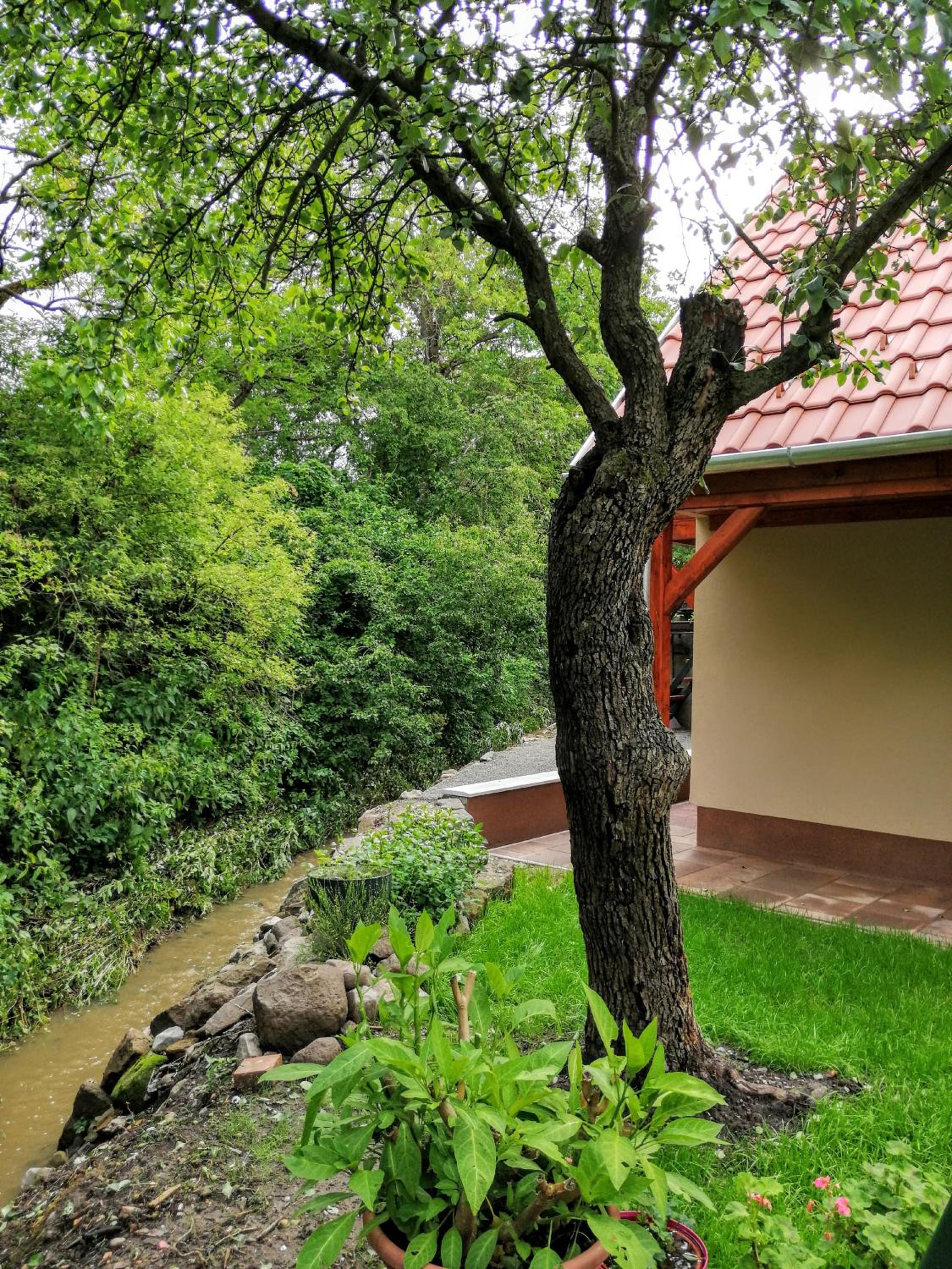 Kishíd Vendégház Pilismarót view 3
