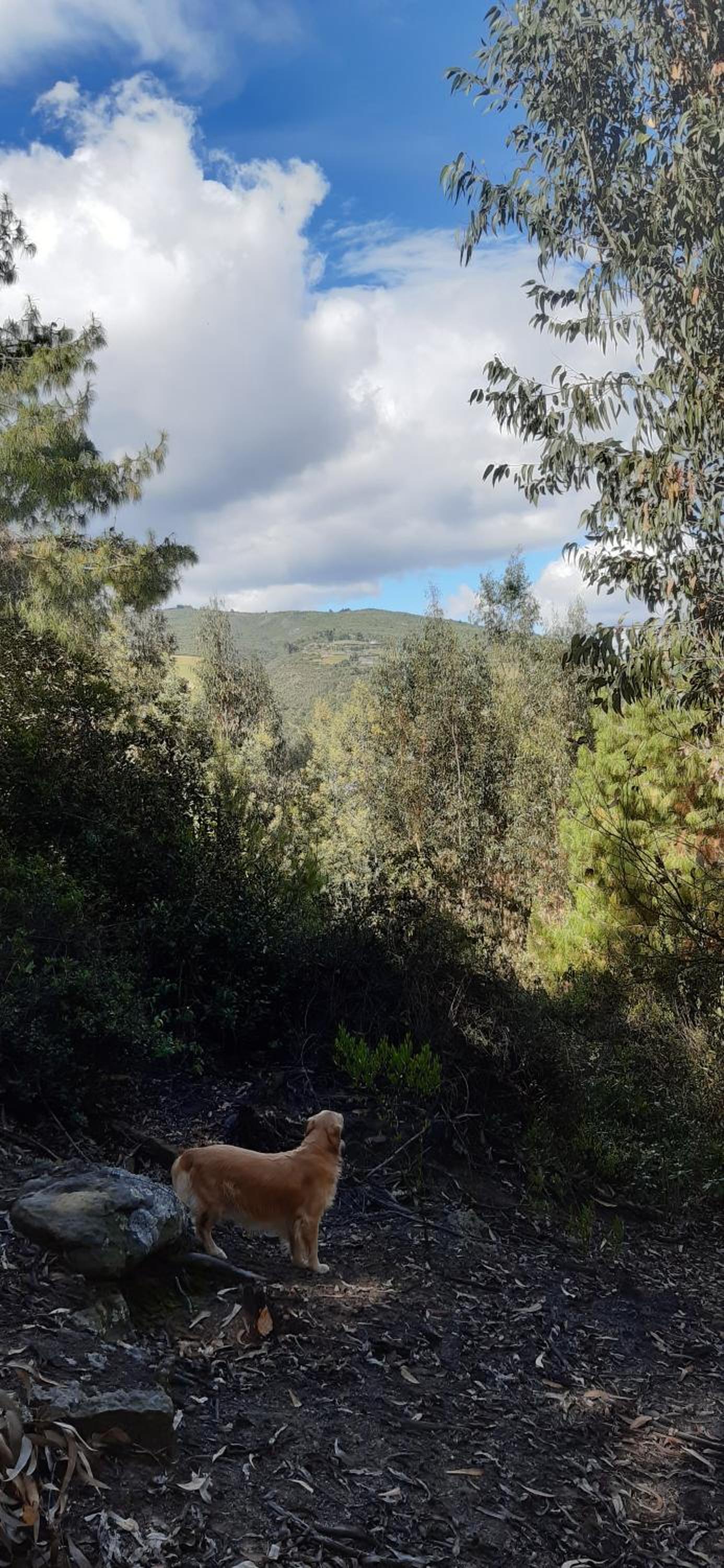 El Chalet de El Refugio de la Loma