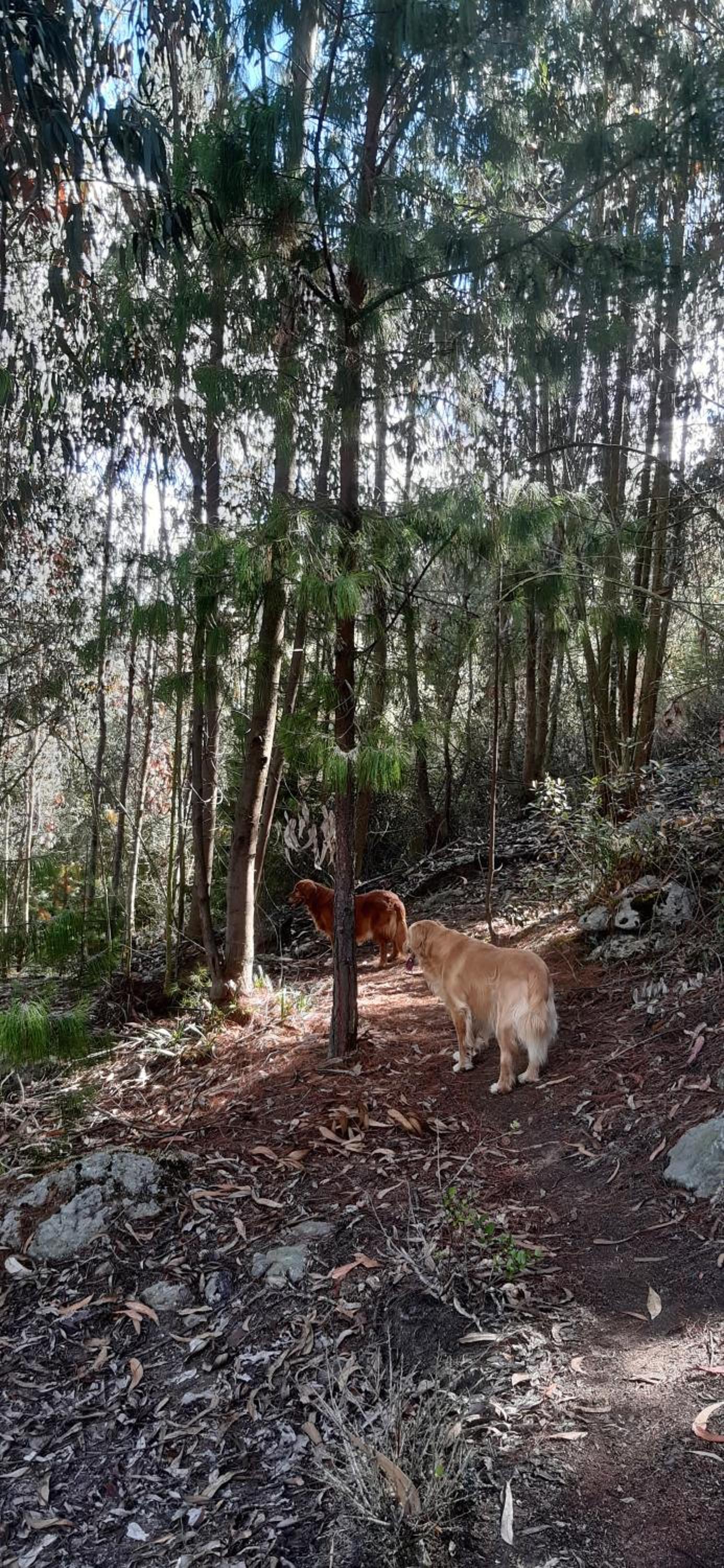 El Chalet de El Refugio de la Loma