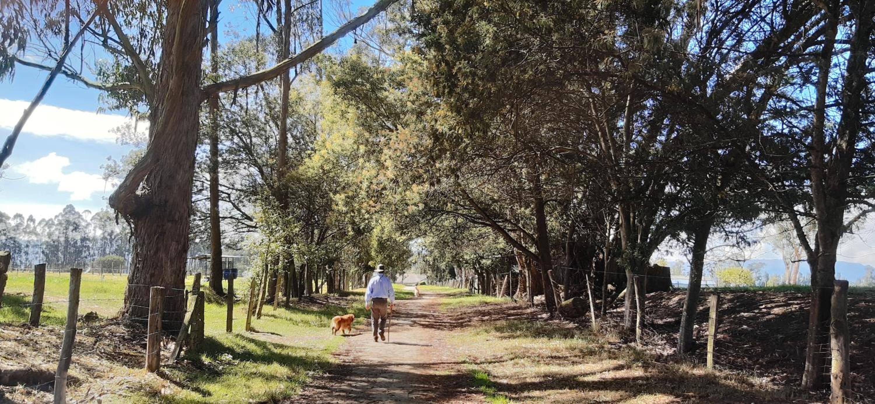 El Chalet de El Refugio de la Loma