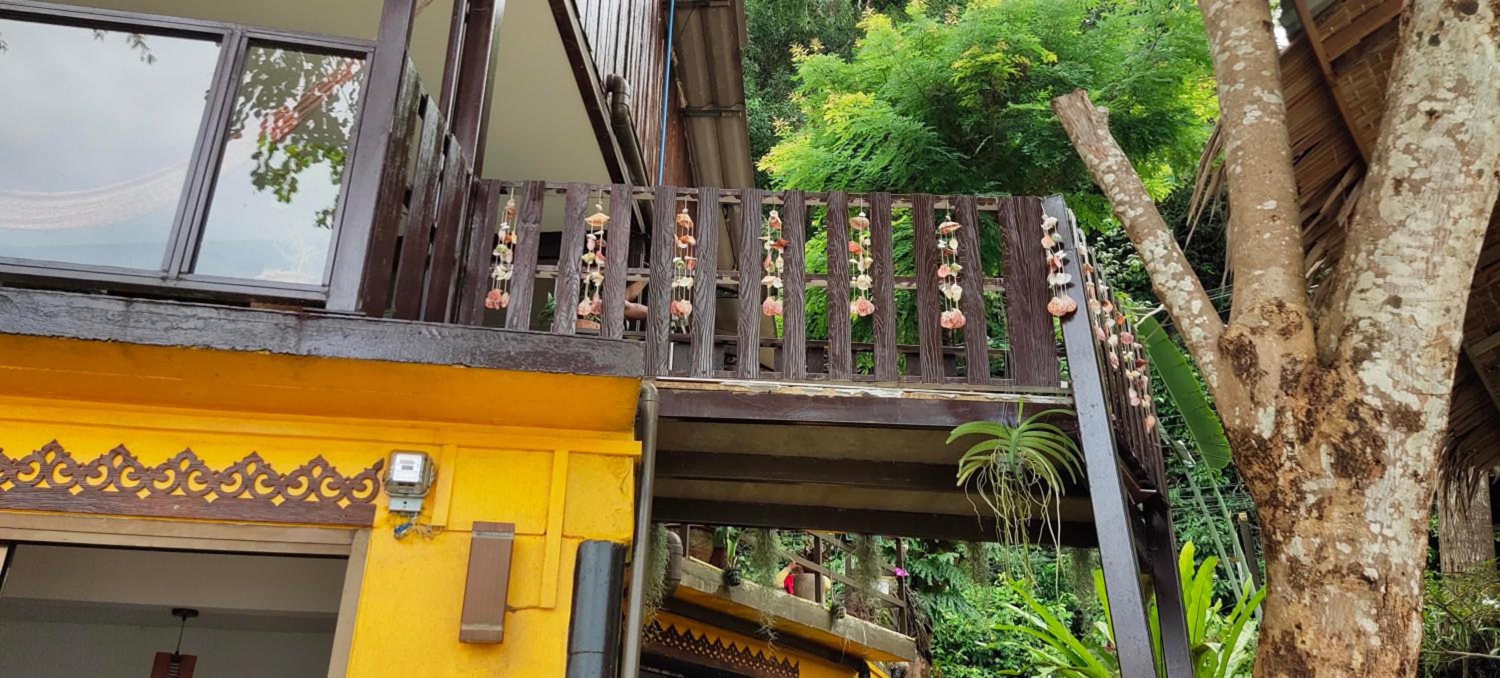 Maya guest house@coffee view 4