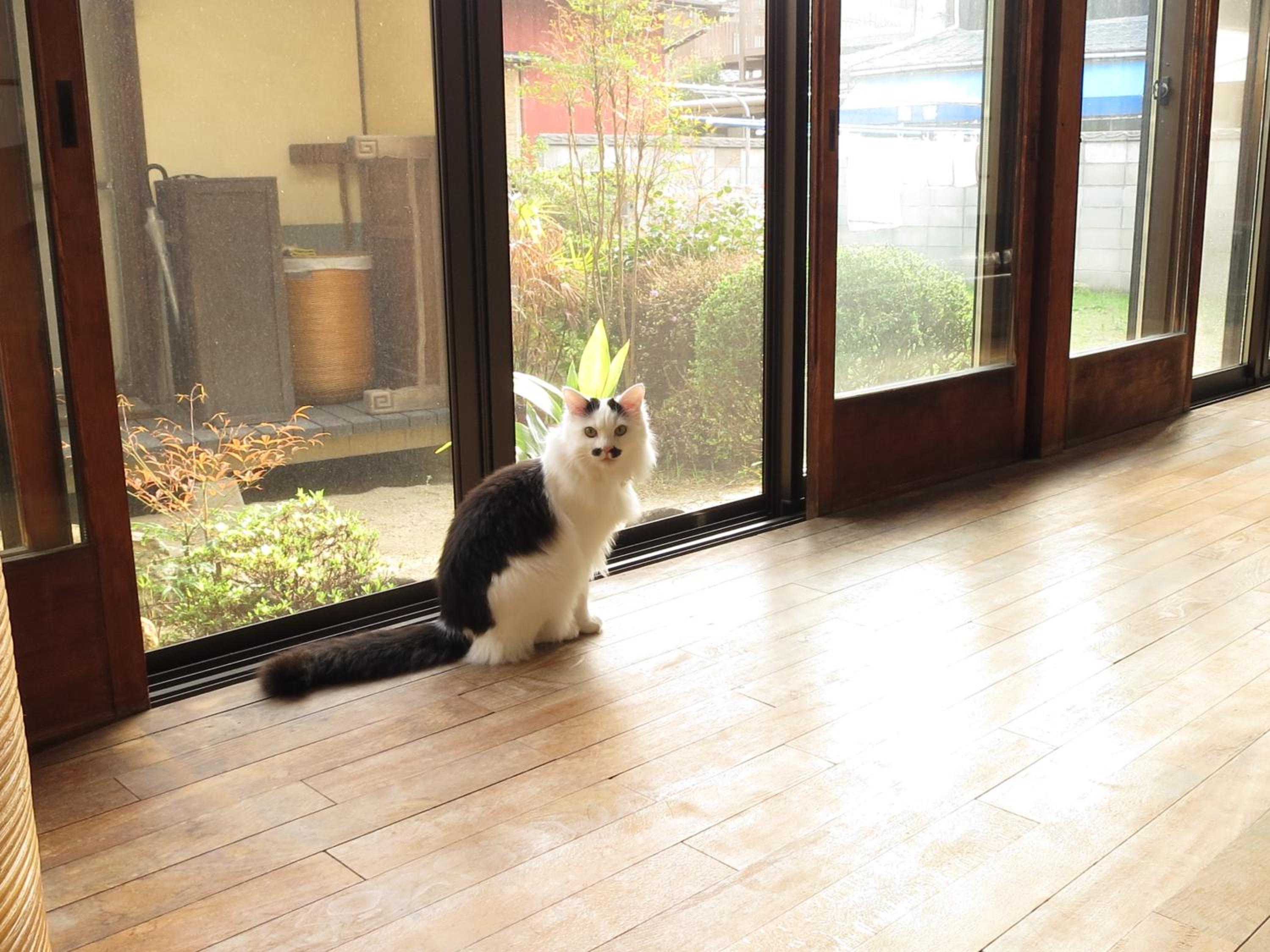 Photo 23