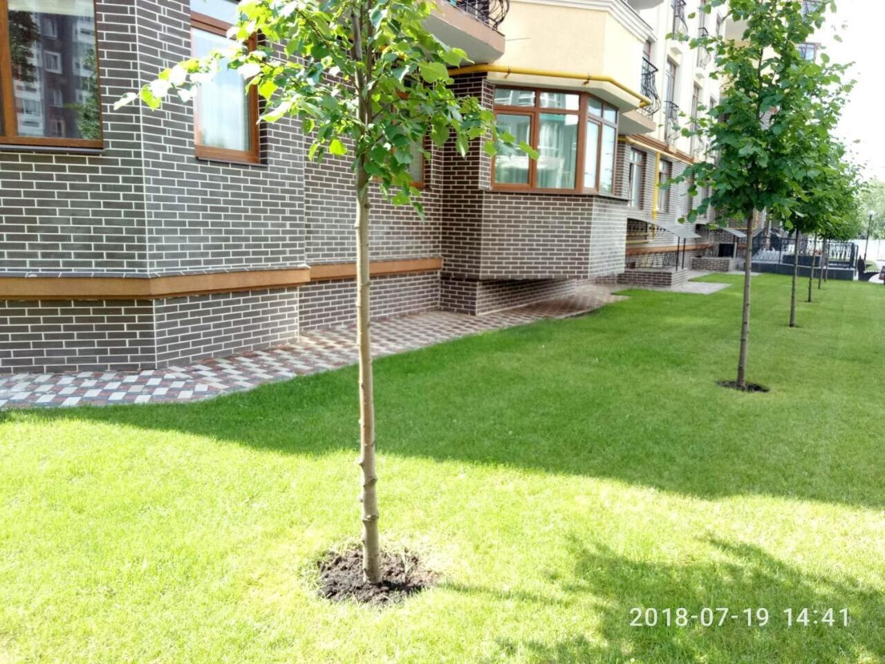 Luxury Emerald Apartments, photo 9