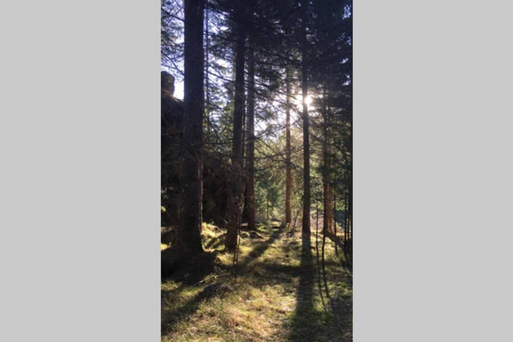 Gemütliches Ferienhaus am Waldrand