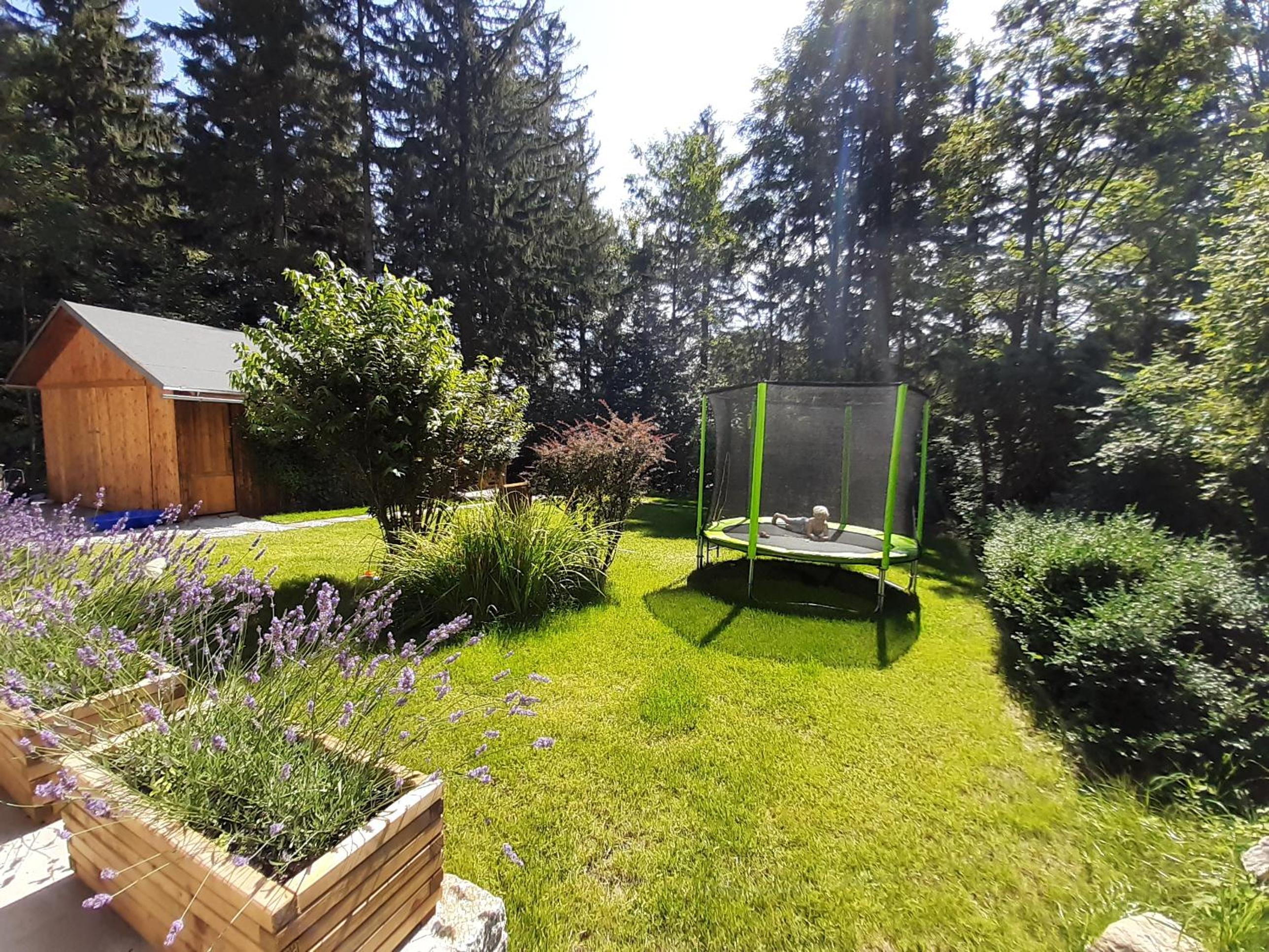 Photo 10