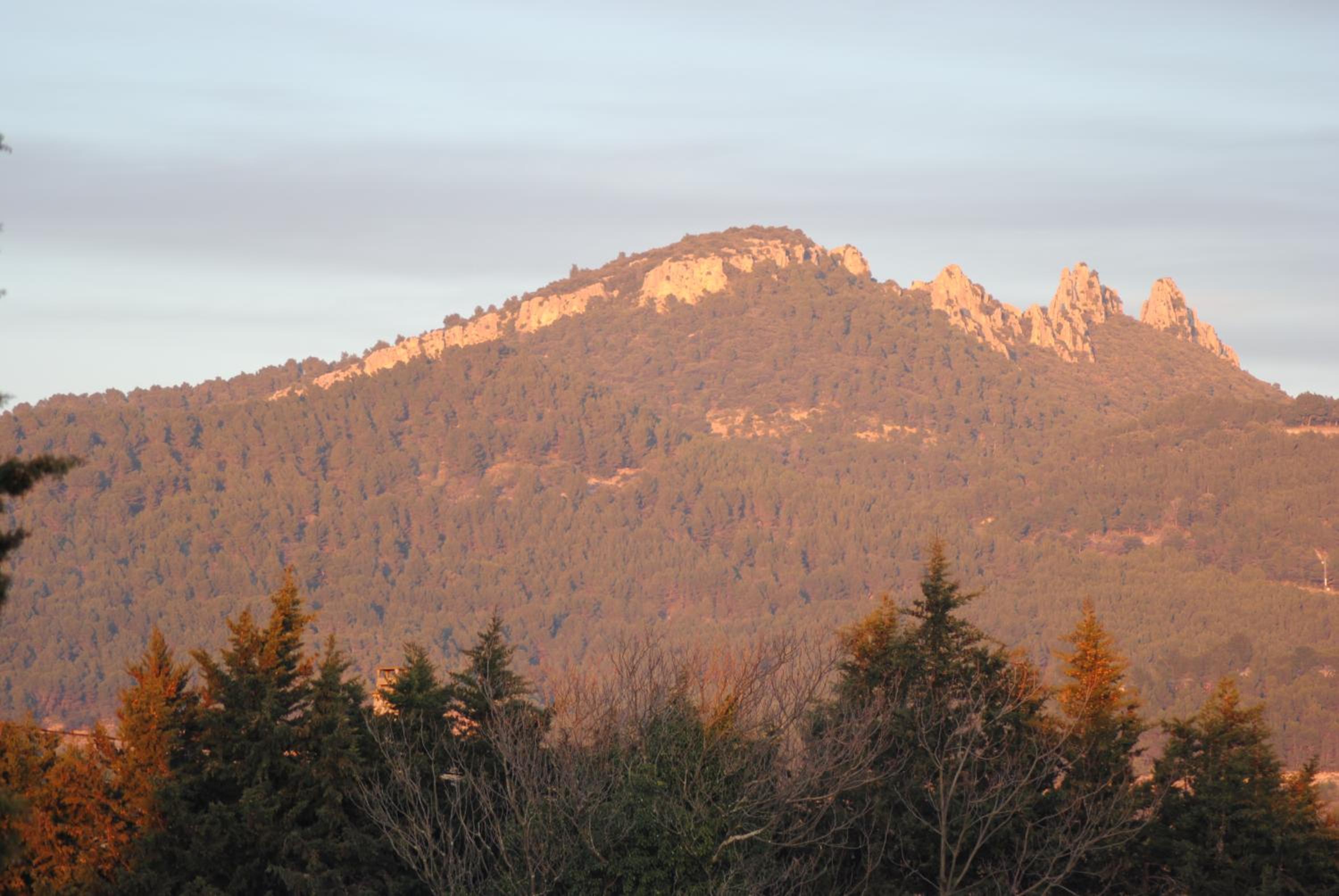Photo 14