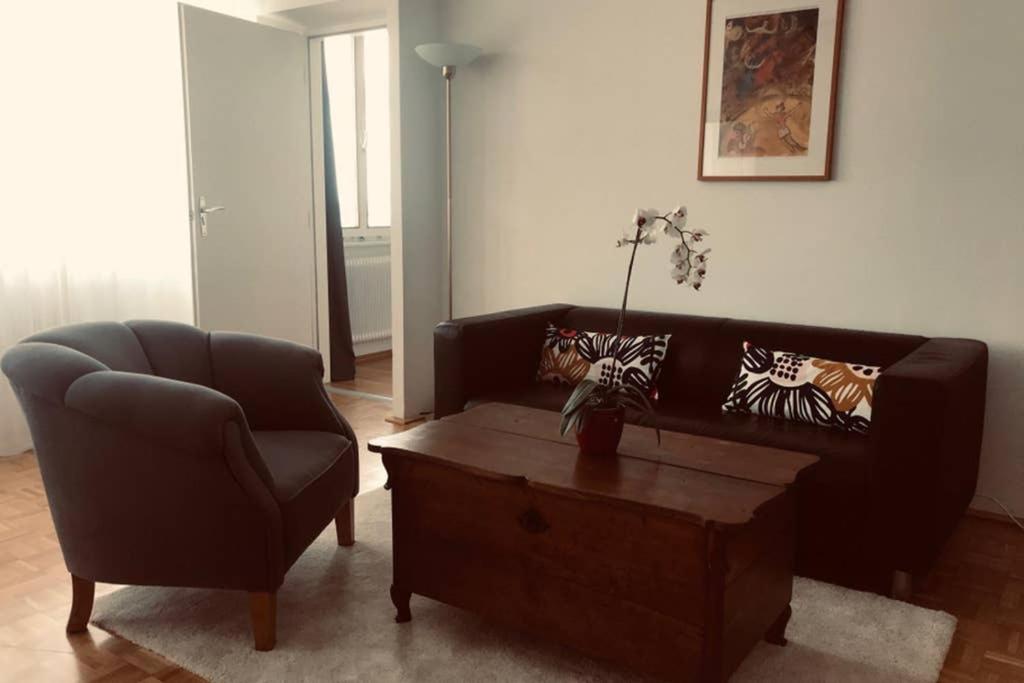 Mitten im Achten. Zentrale Wohnung in Wien