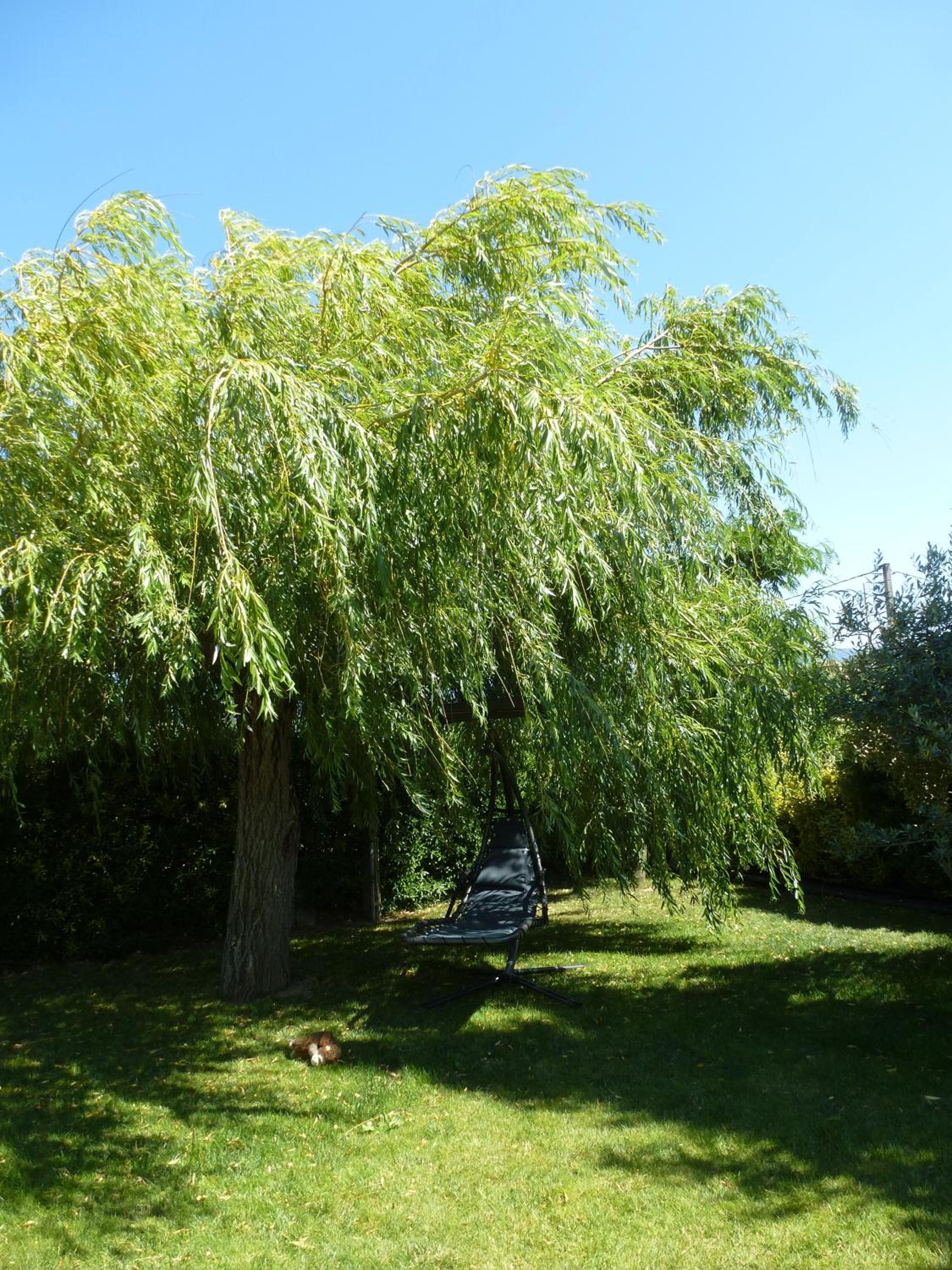 Photo 23