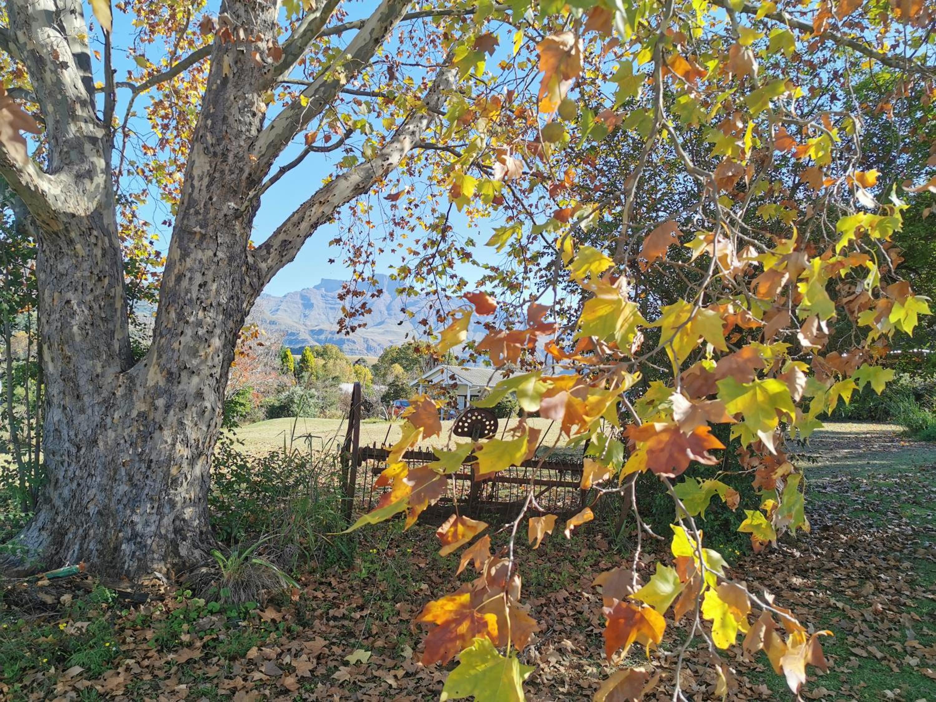 Swallowfield Rondavels view 5