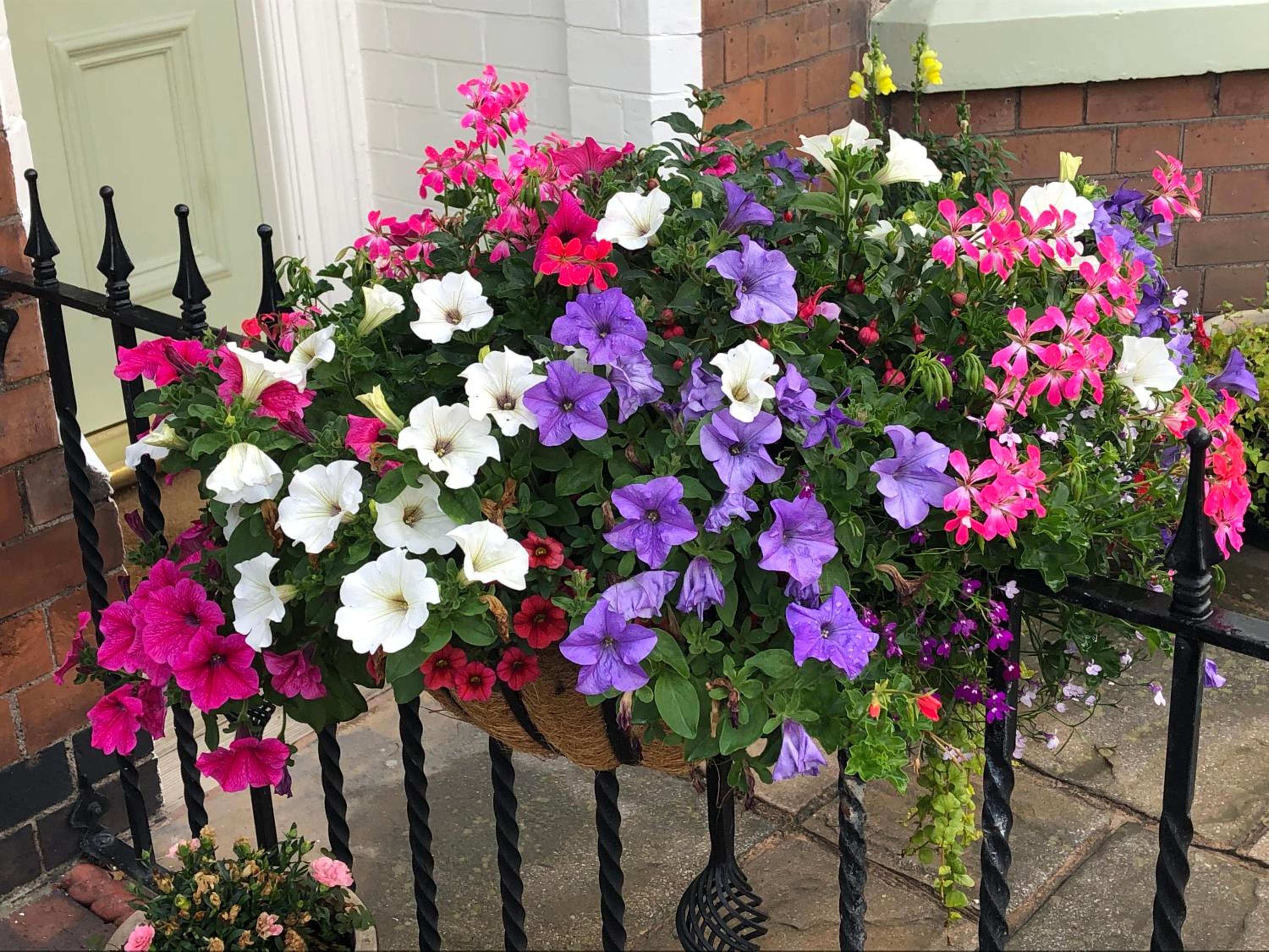 Carlton Guest House view 4