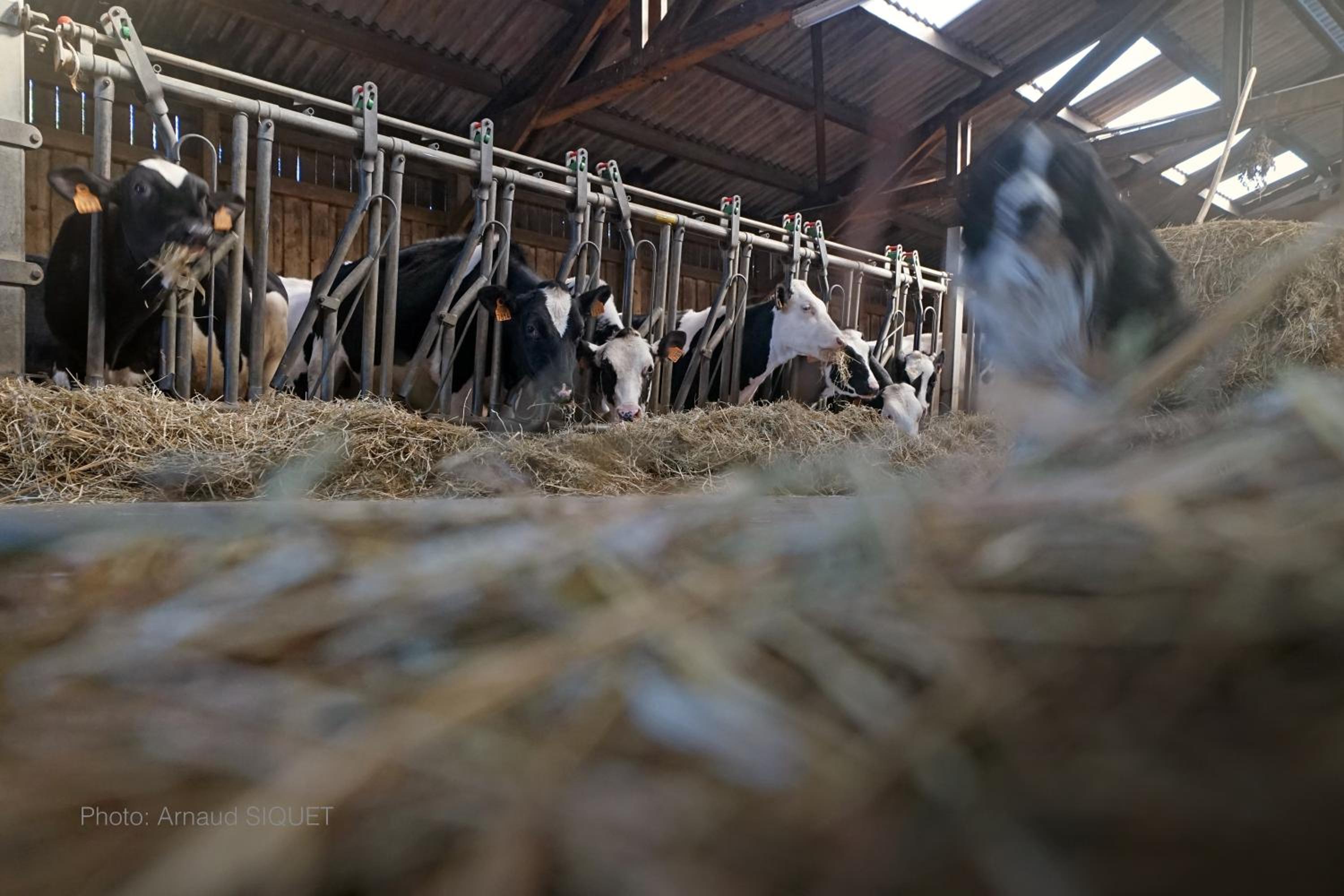 ferme st martin