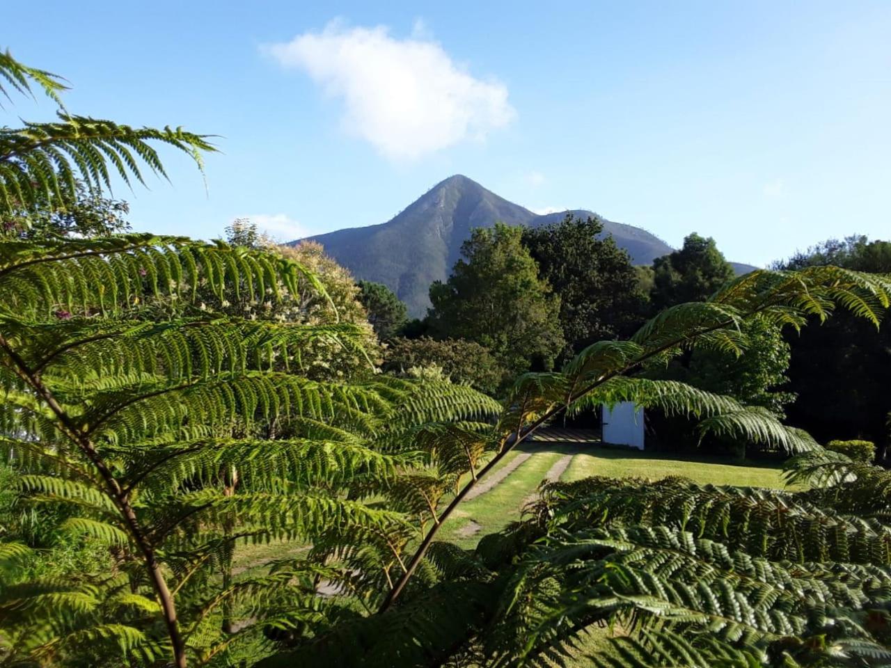 Nadine's Self - Catering Accommodation view 5