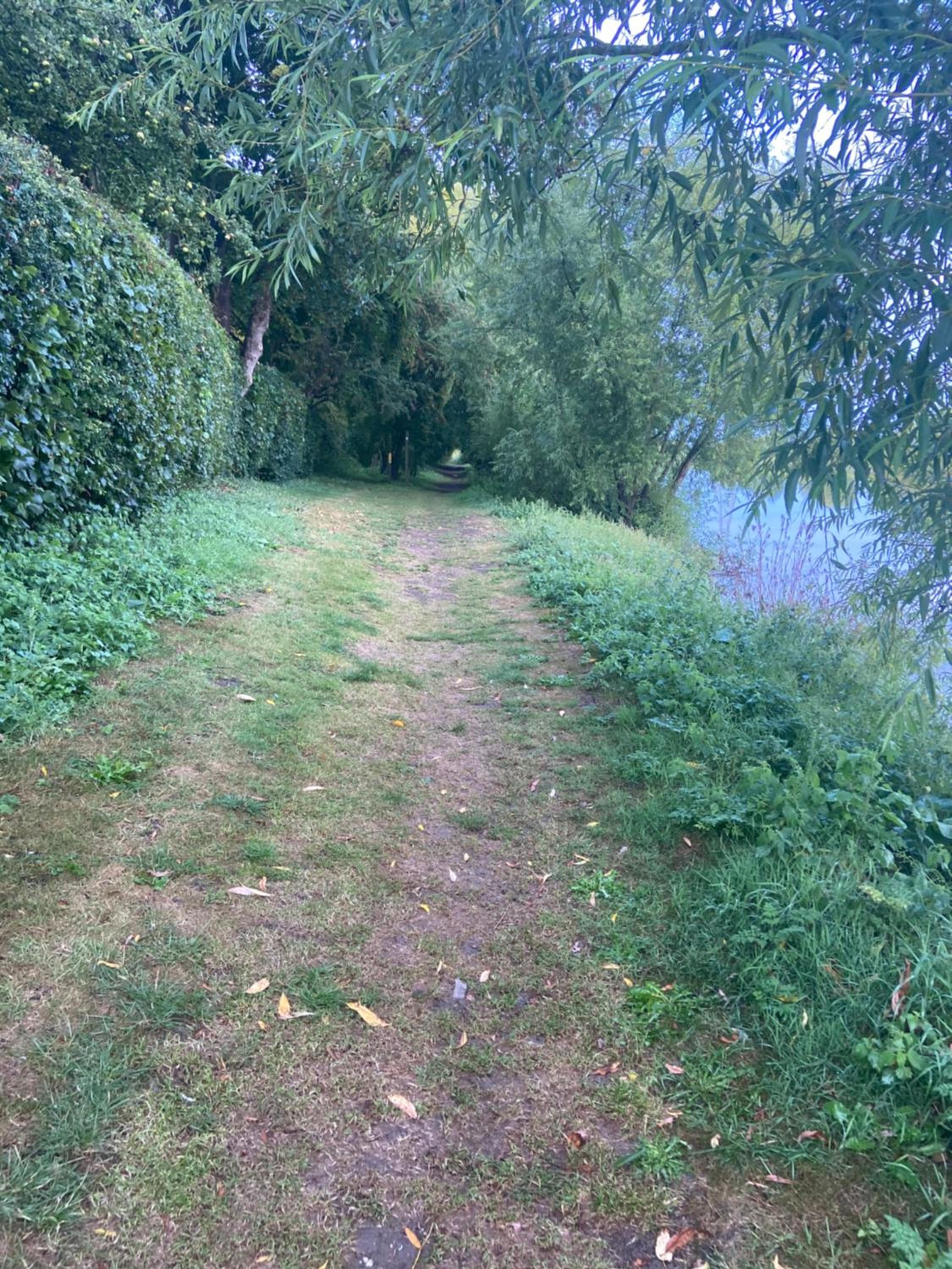 Photo 35