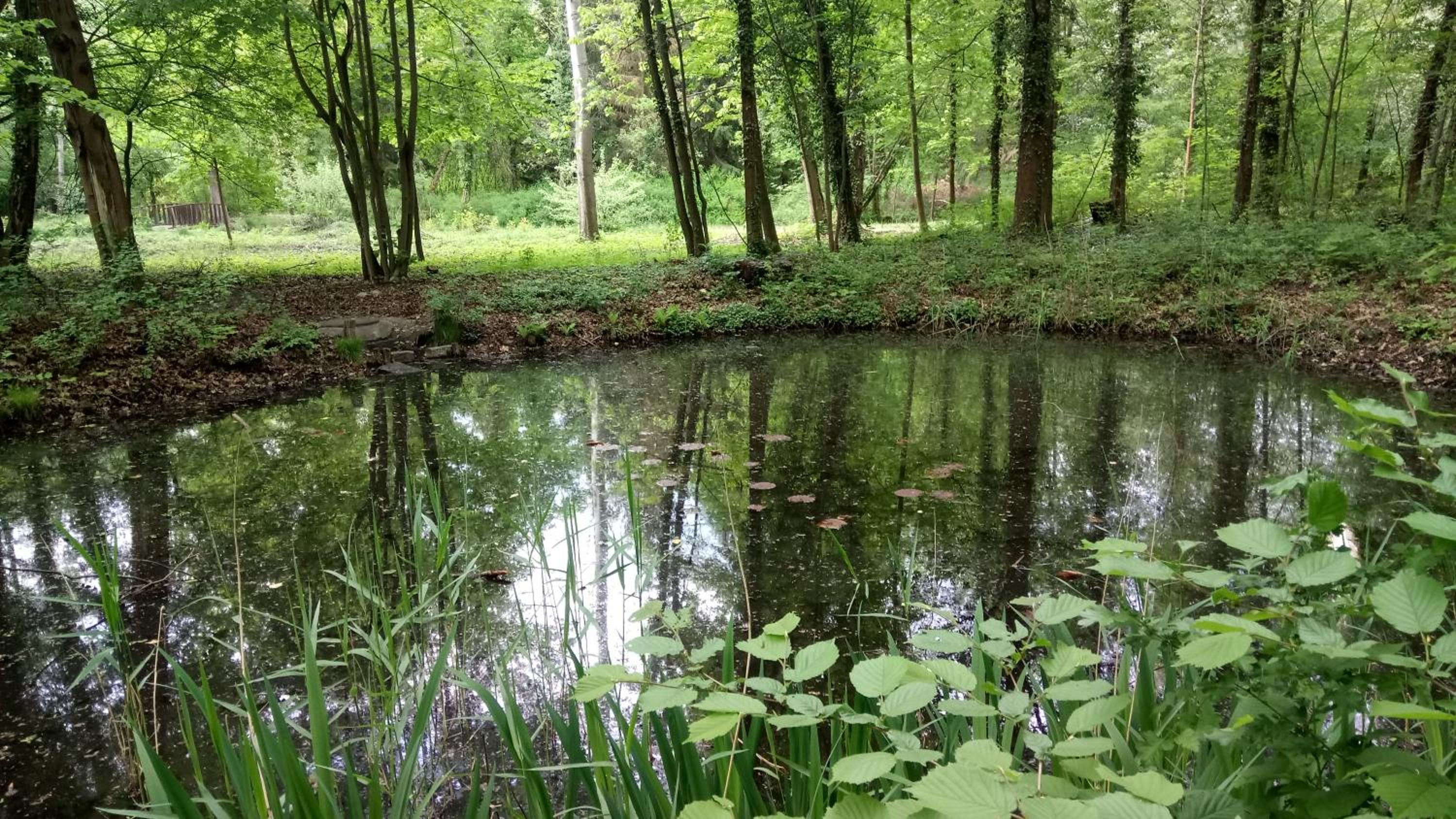 Photo 23