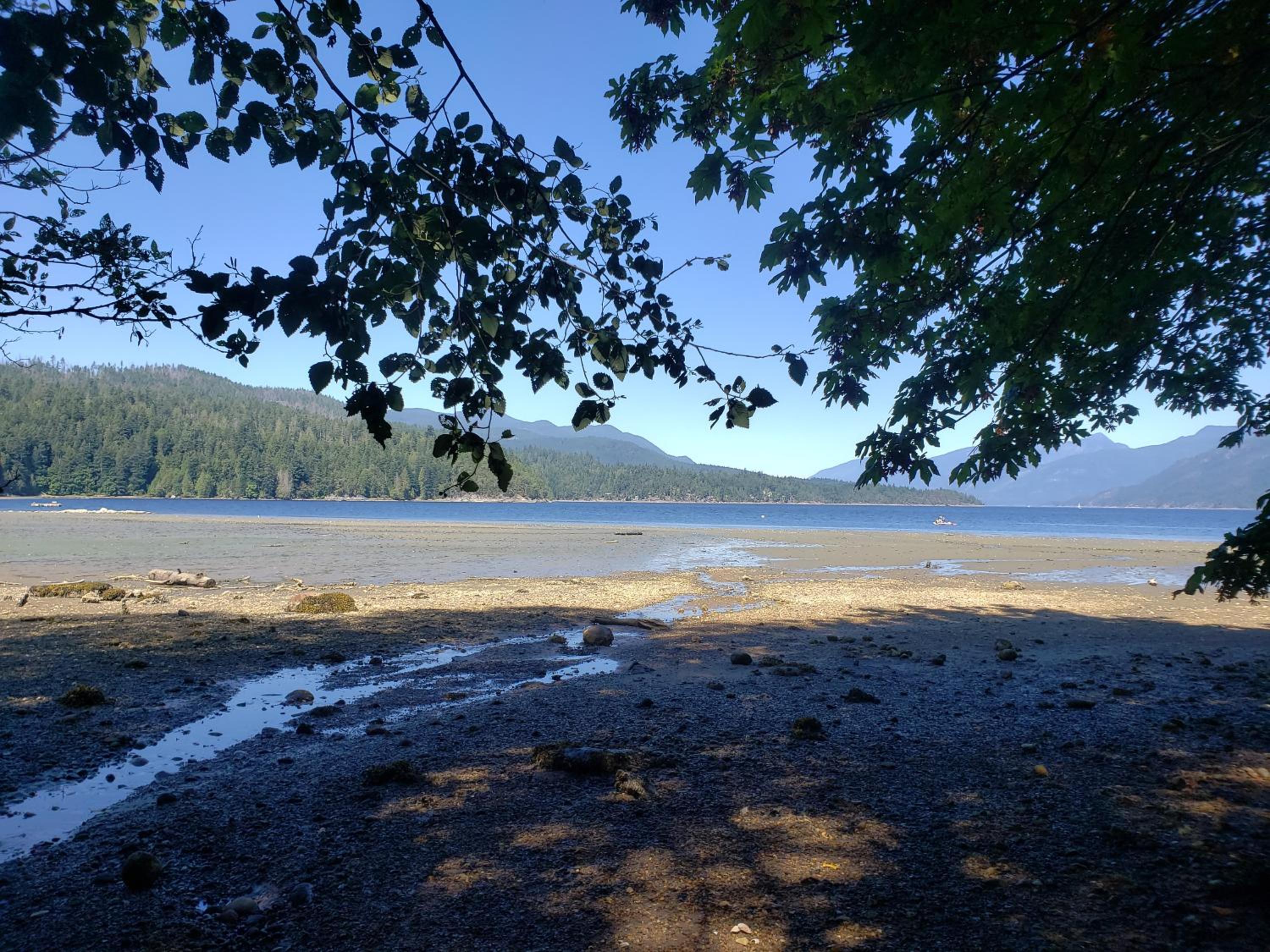 Finn's Cabin