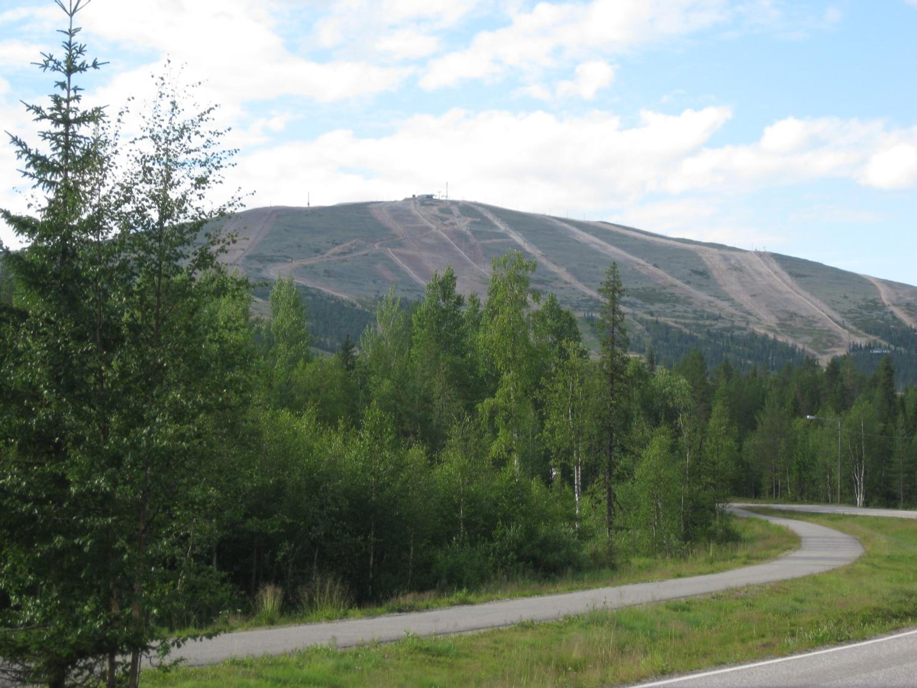 Tunturikoivu view 5