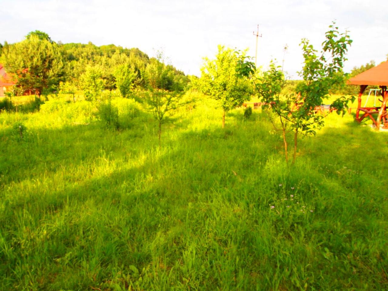 Photo 44
