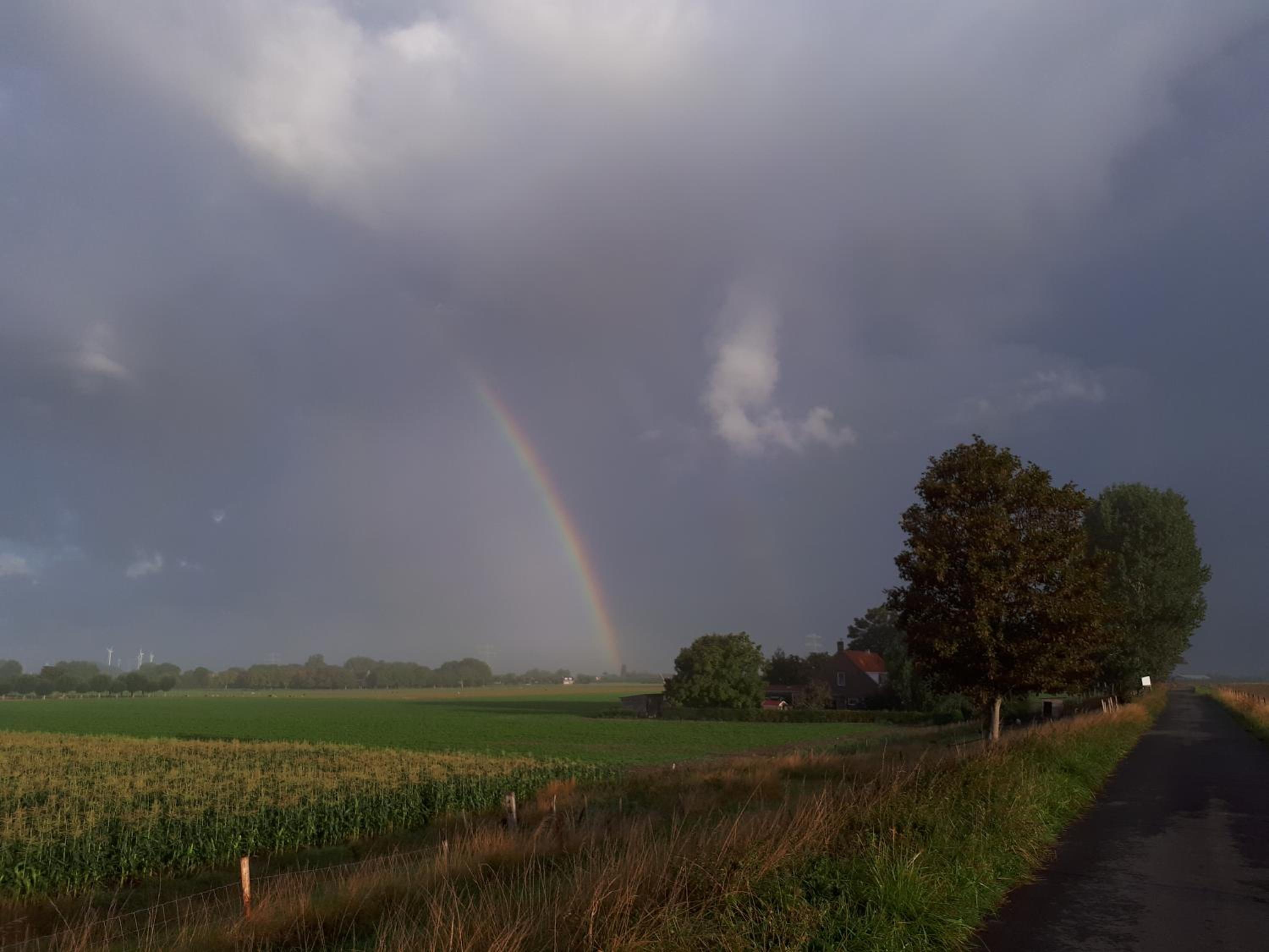 Photo 26