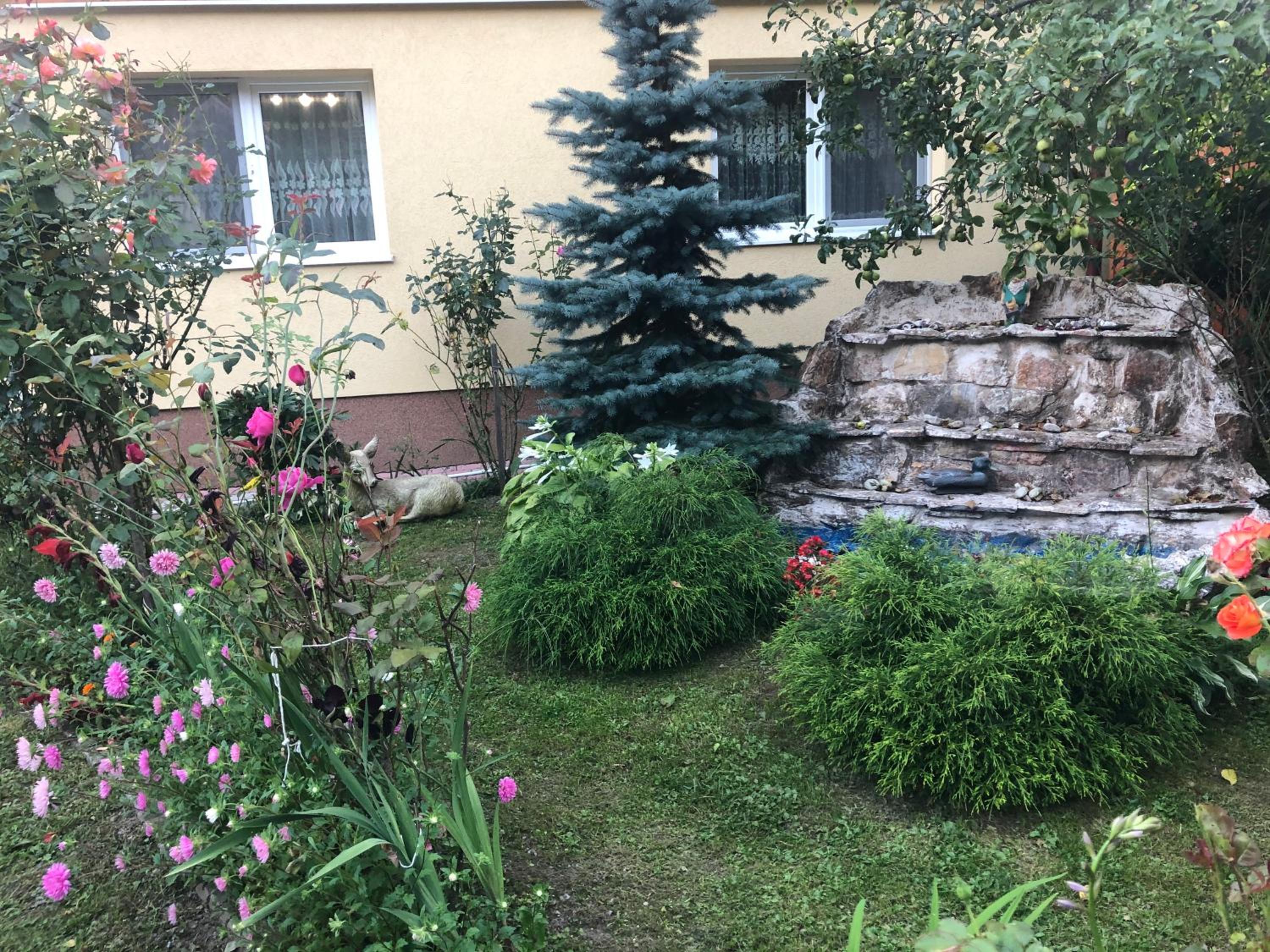 Photo 24