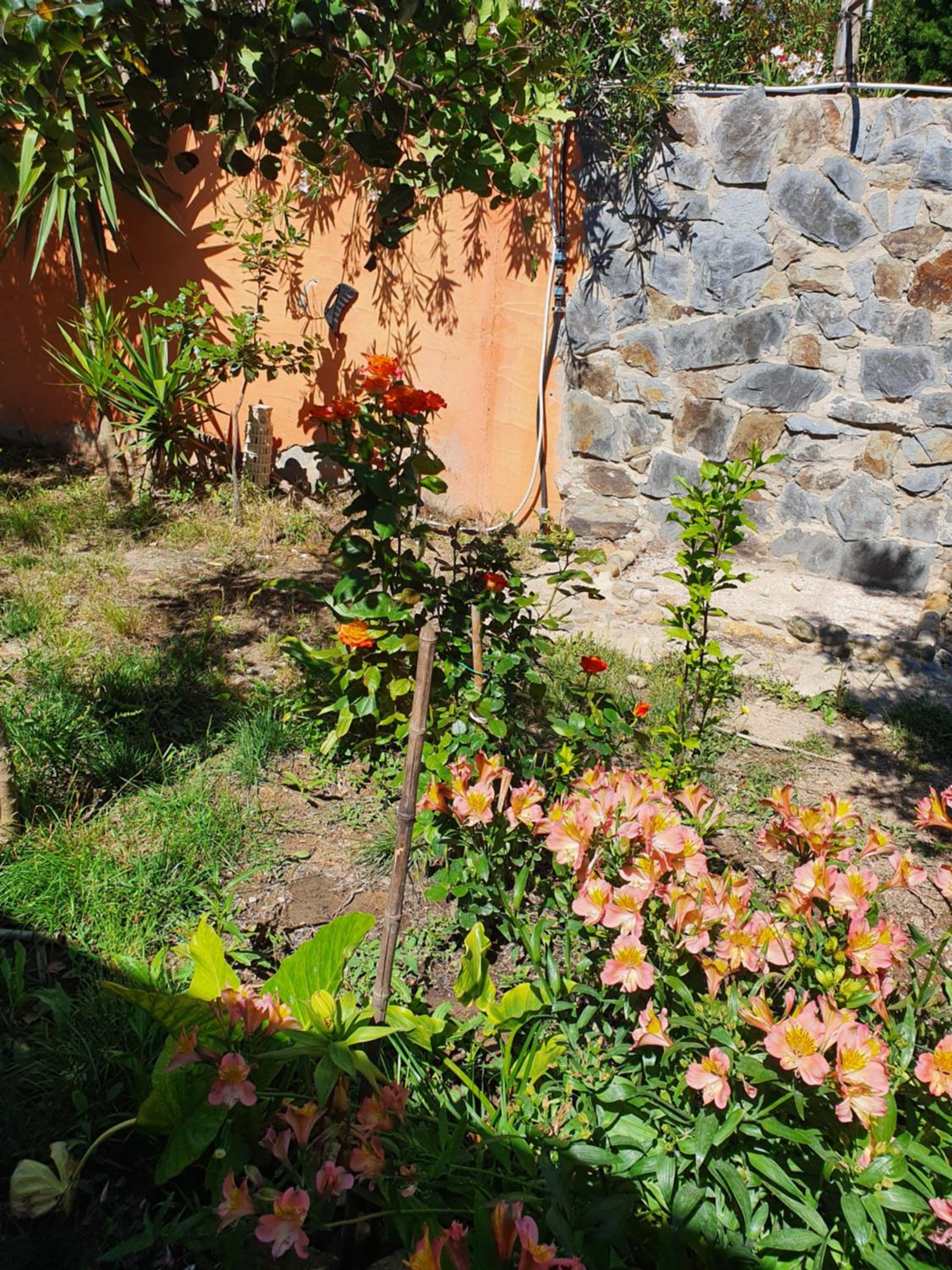 Stella Sulcitana view 5