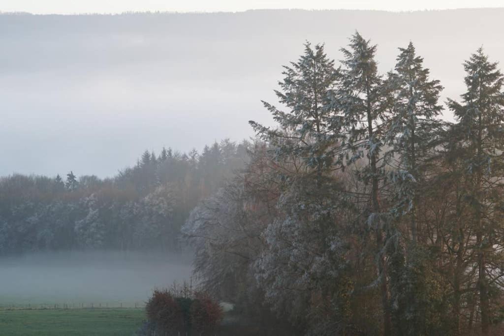 Castle Froidcour