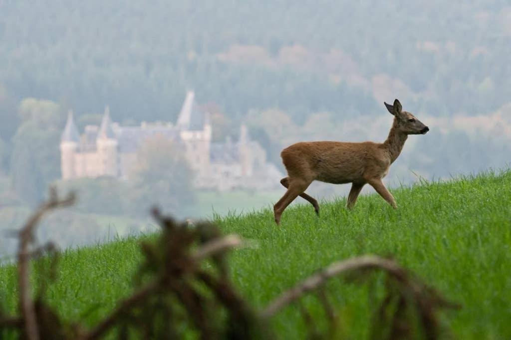 Castle Froidcour
