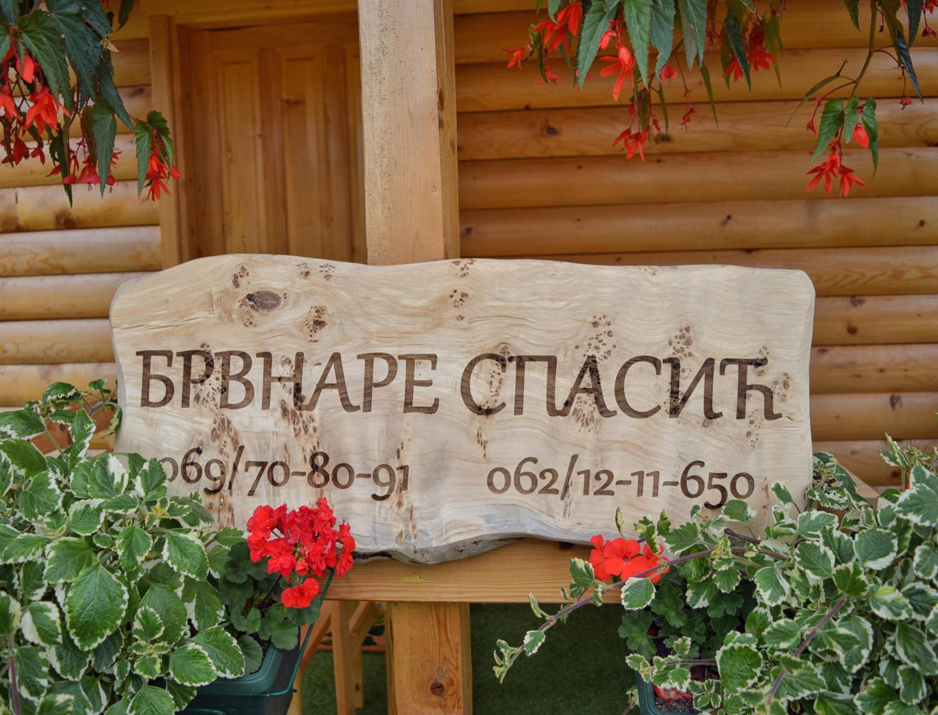 Photo 20