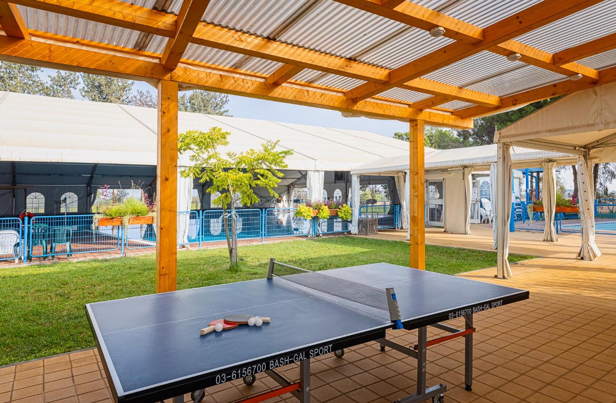 Gvulot - Kibbutz experience