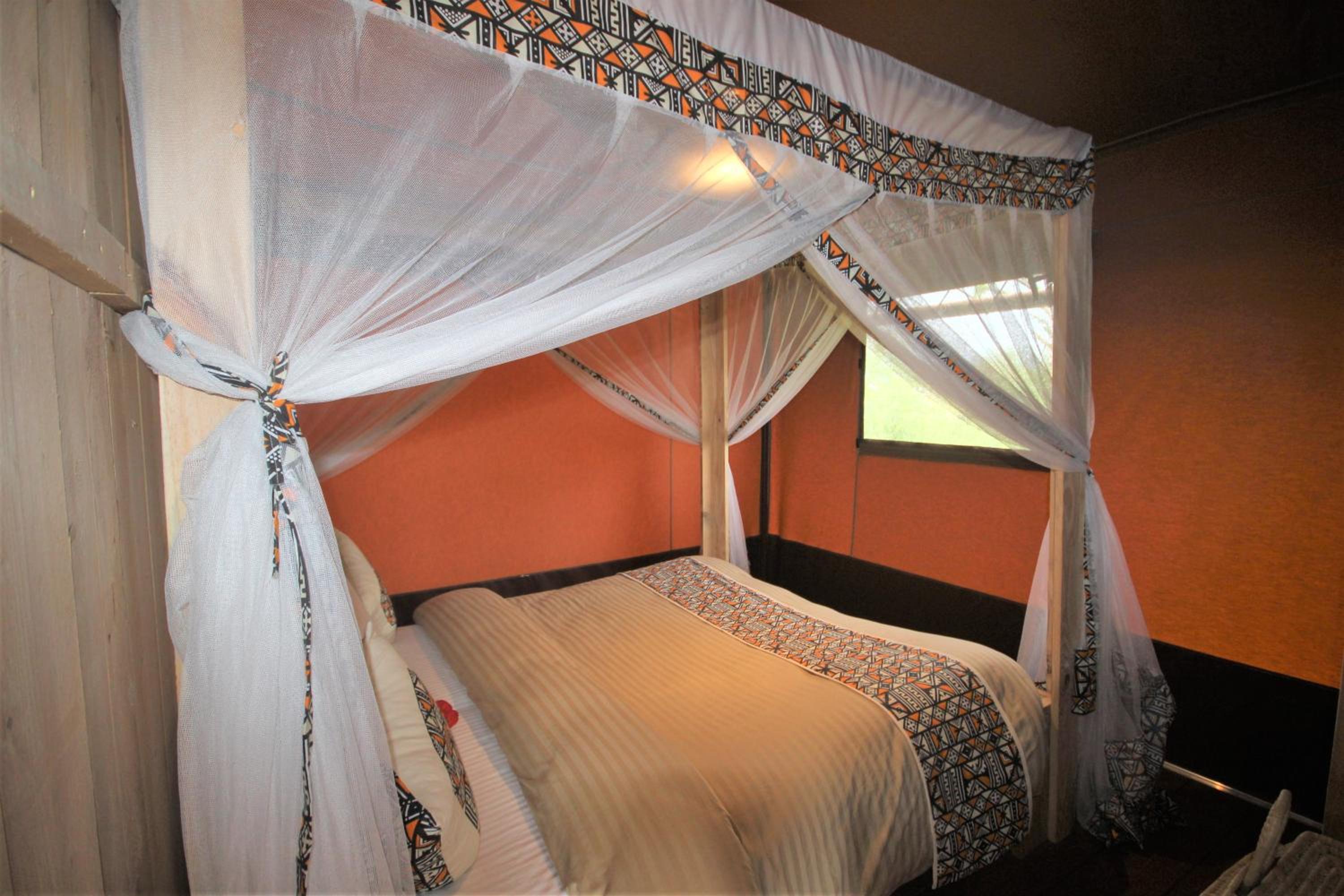 Africa Safari Lake Manyara located inside a wildlife park view 5