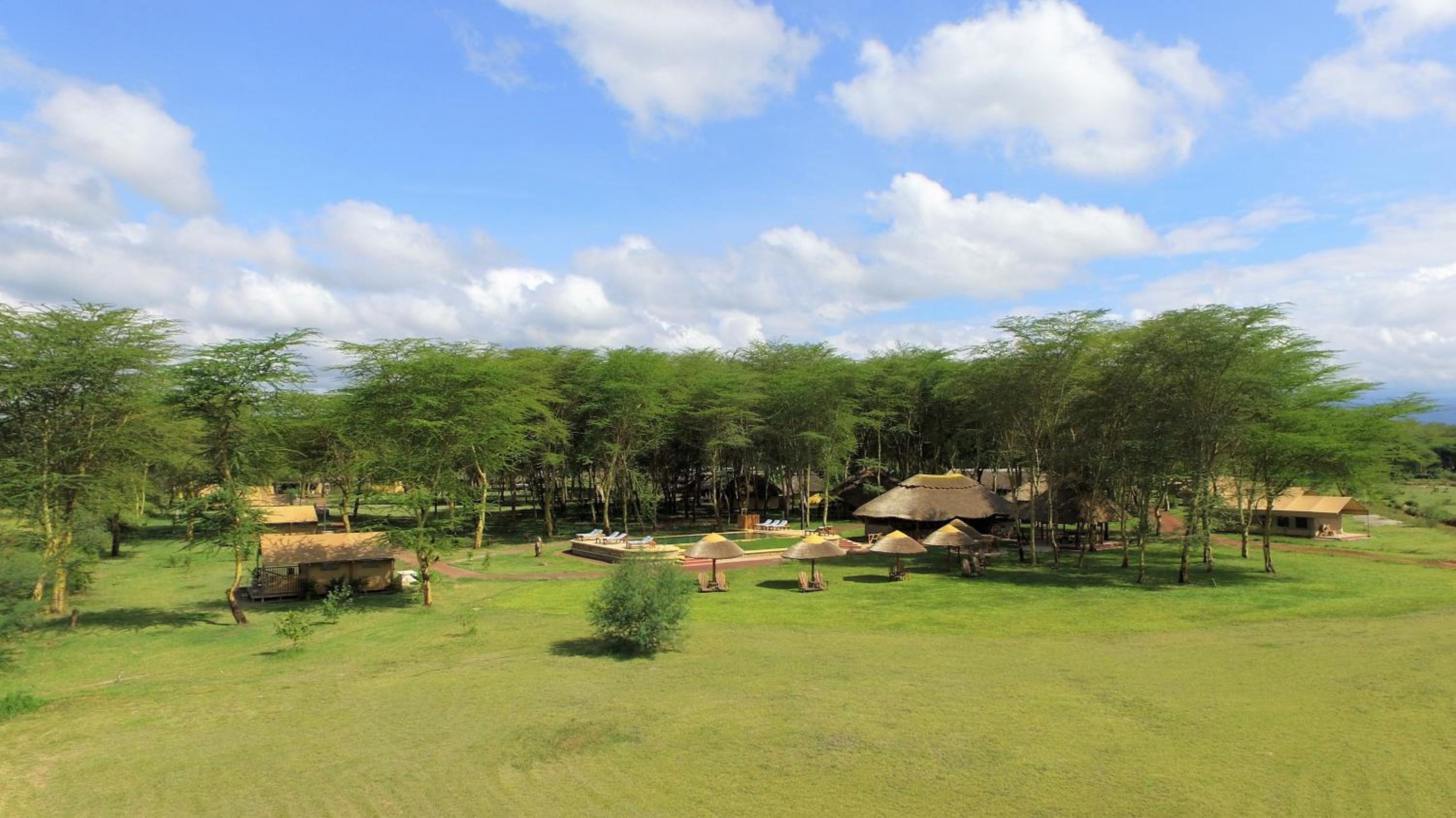 Africa Safari Lake Manyara located inside a wildlife park view 3
