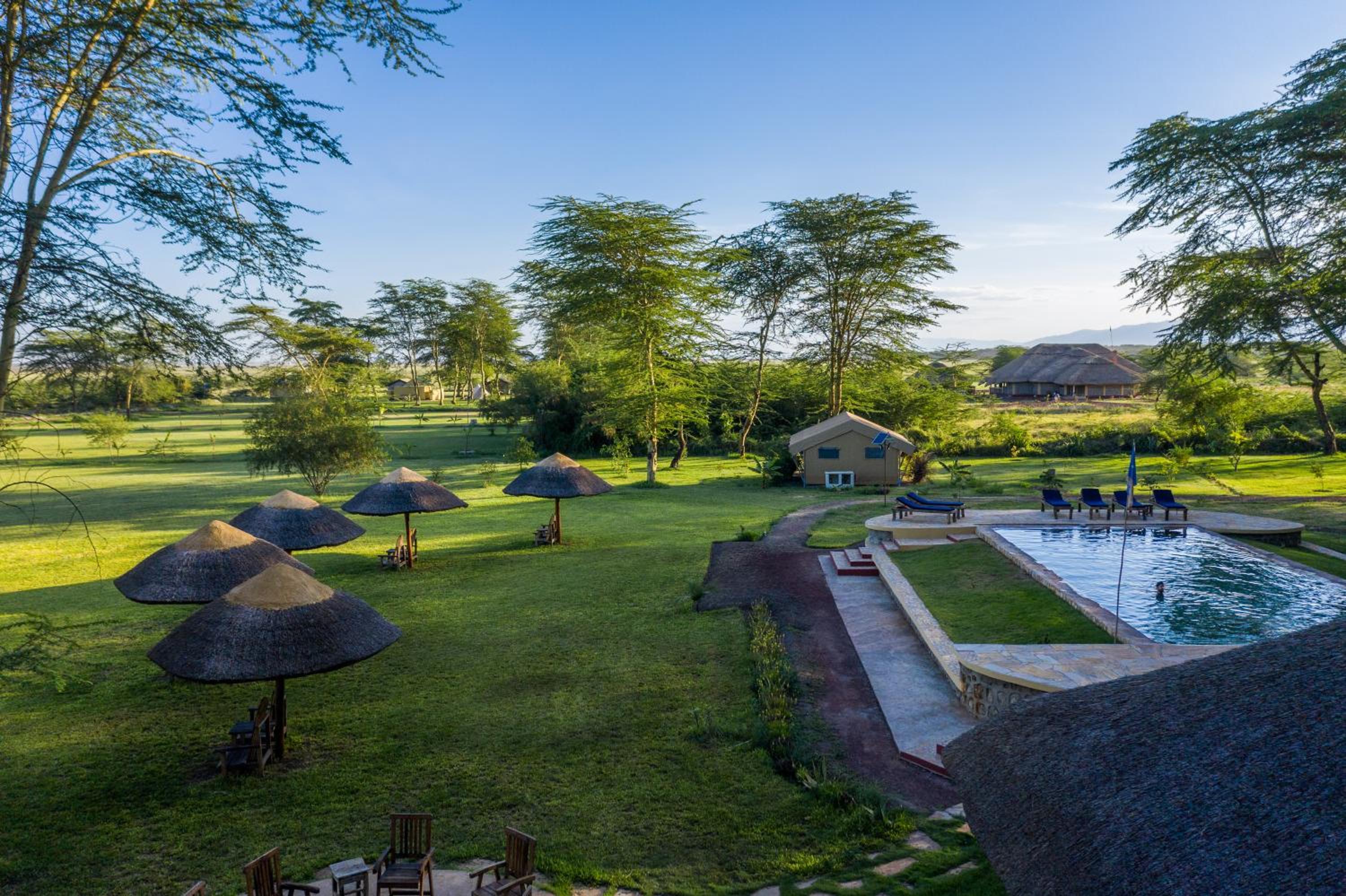 Africa Safari Lake Manyara located inside a wildlife park view 2